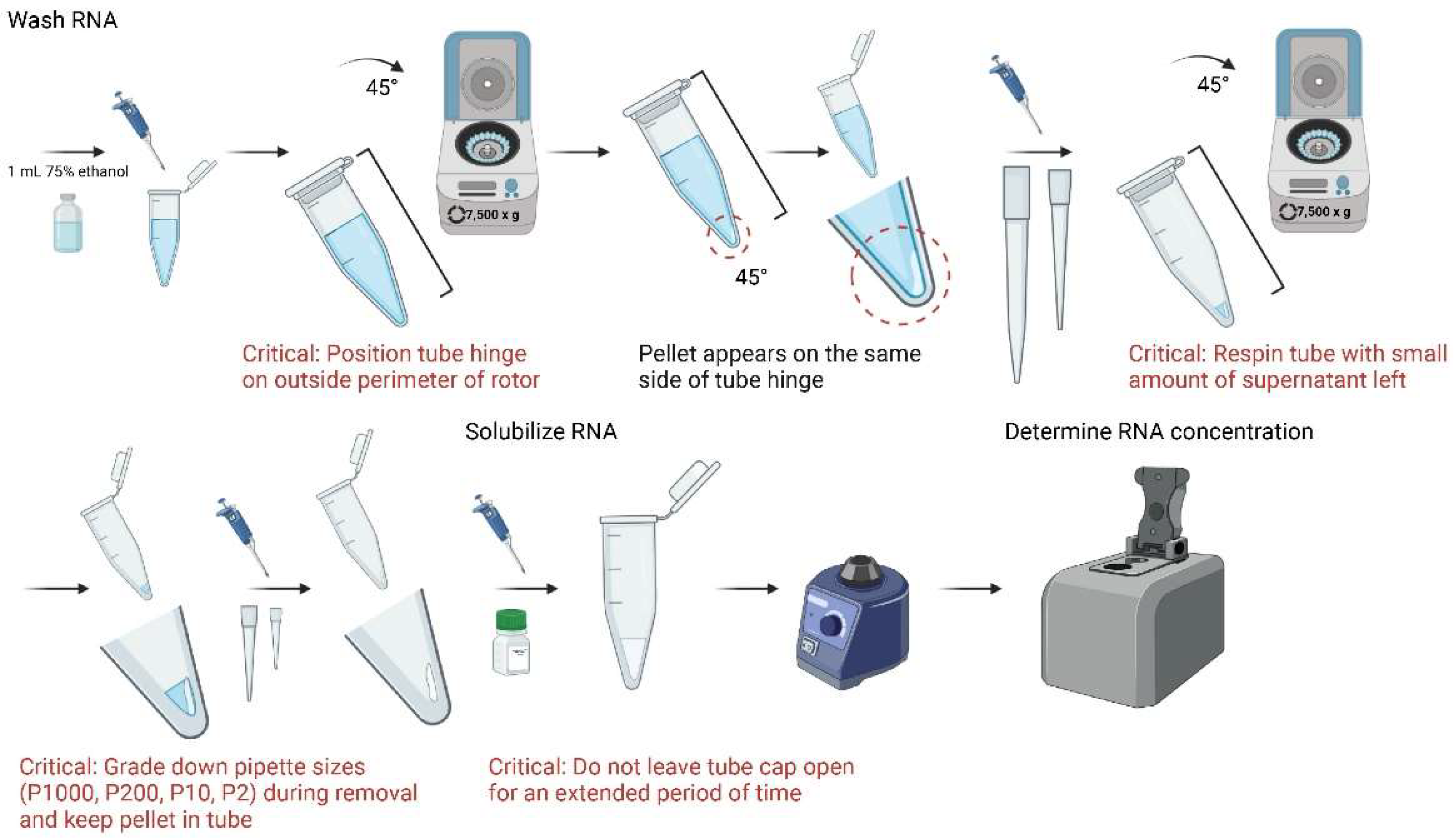 Mps 05 00077 g007 Mps 05 00077 g007