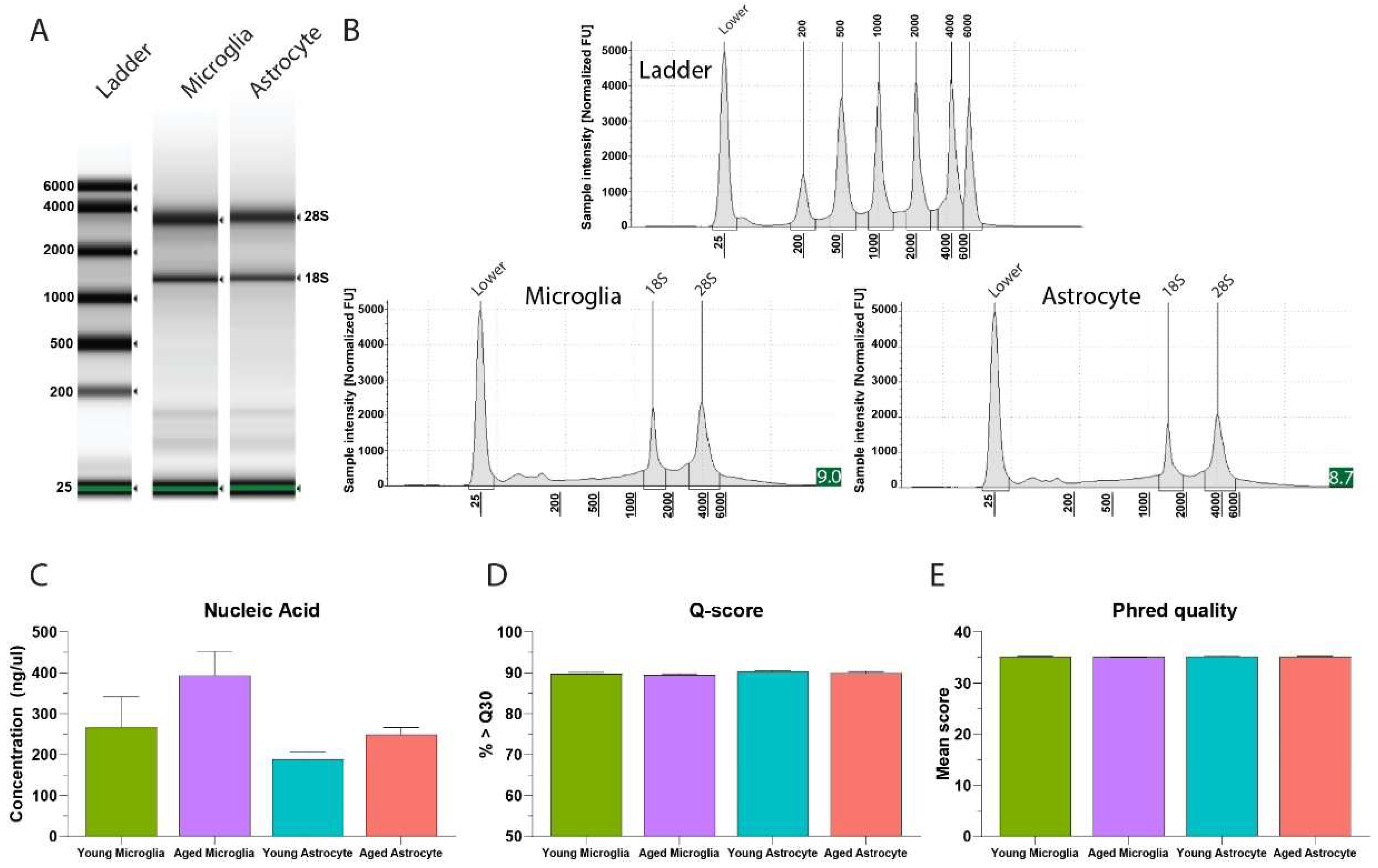 Mps 05 00077 g008 Mps 05 00077 g008