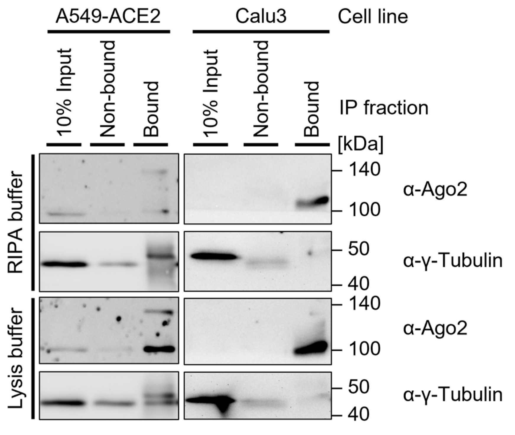Mps 05 00096 g004 Mps 05 00096 g004