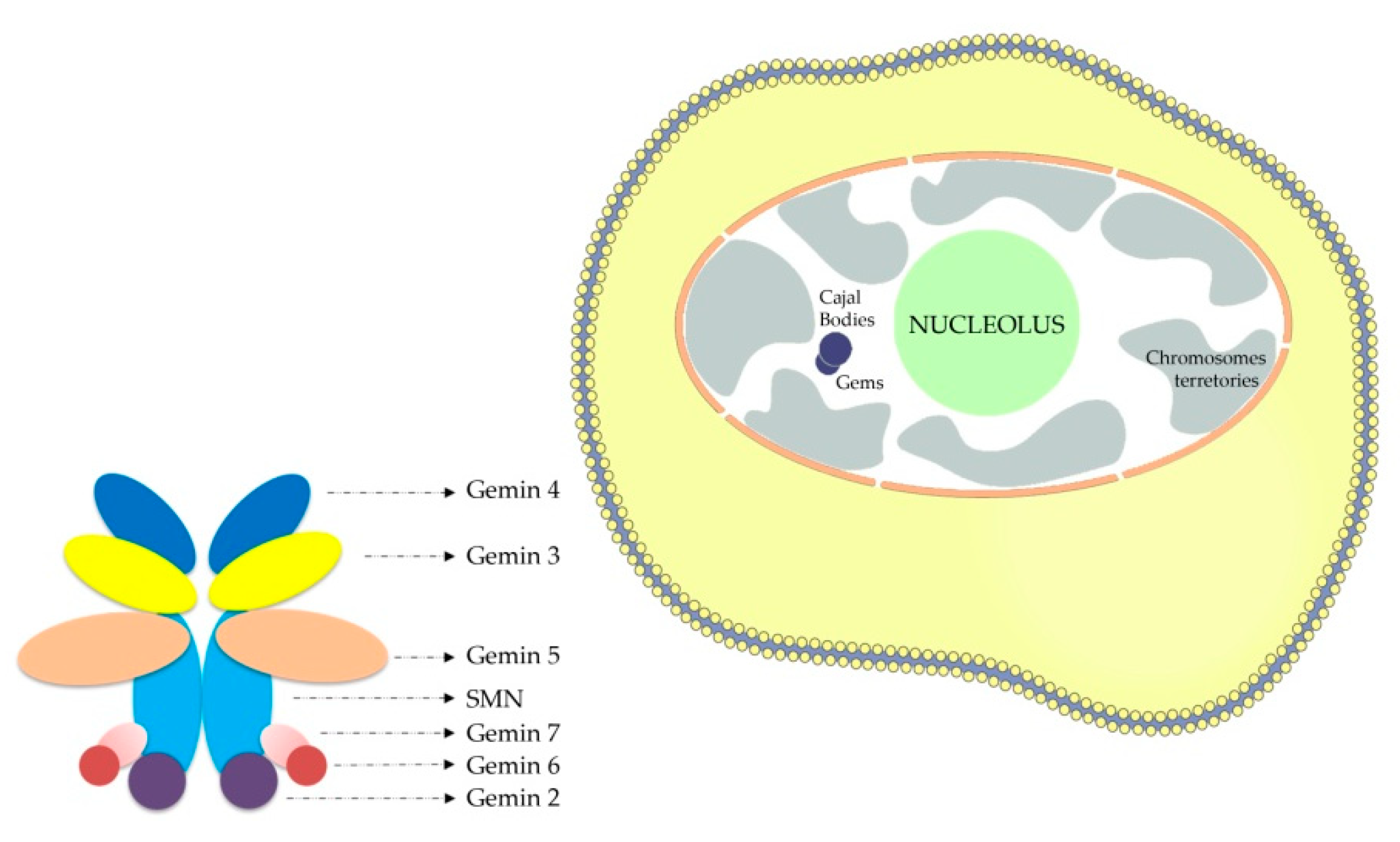 Mps 07 00009 g001 Mps 07 00009 g001