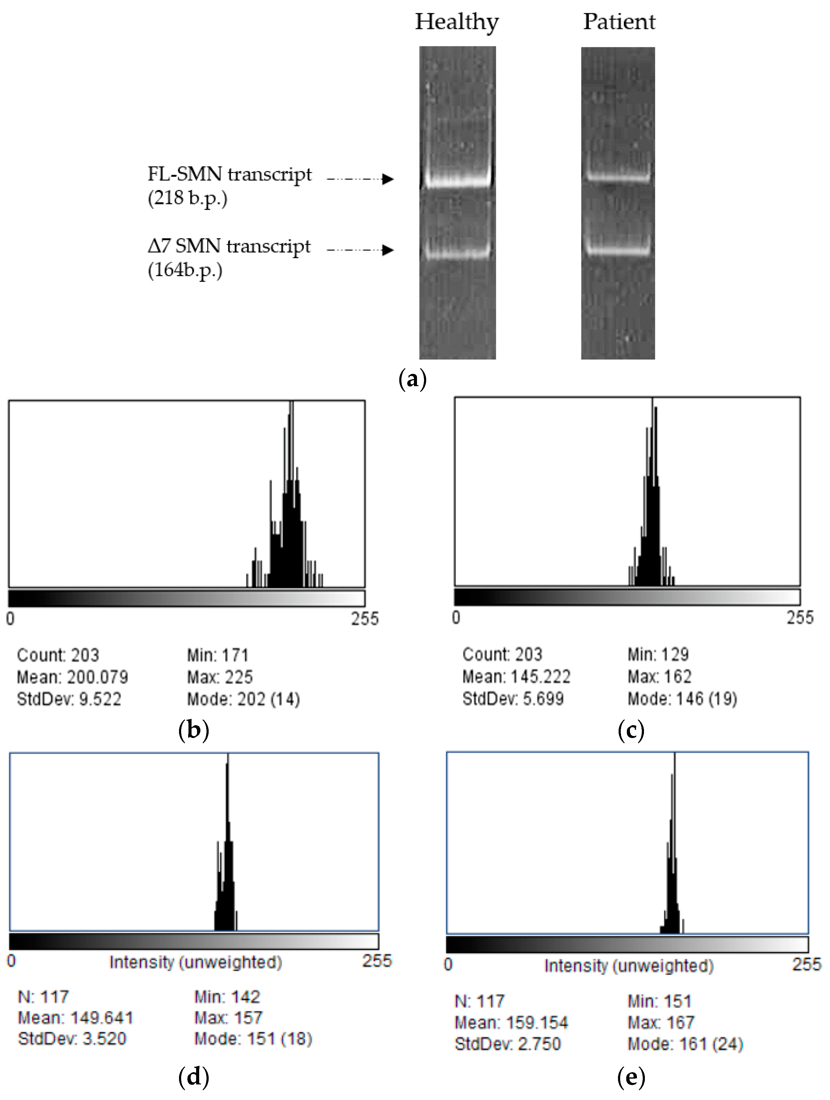 Mps 07 00009 g005 Mps 07 00009 g005
