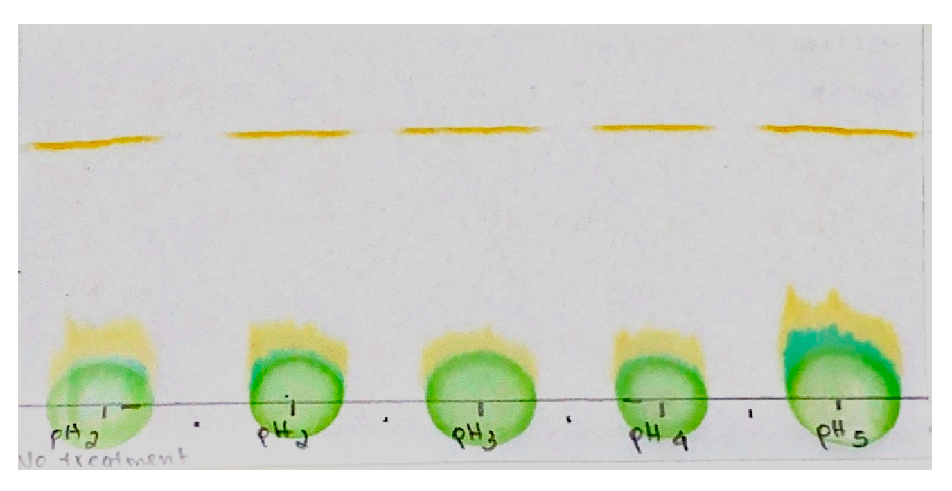 Impact of Acid Rain with Different pH Values in Monstera deliciosa Plants