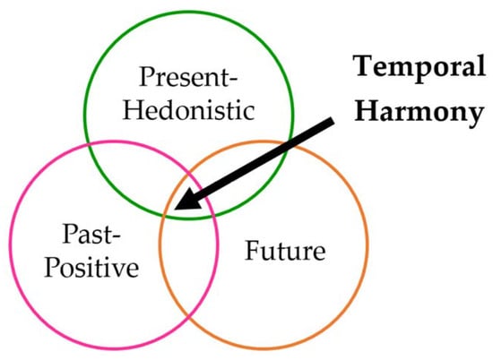 Mti Free Full Text Designing For Temporal Harmony Exploring The Well Being Concept For Designing The Temporal Dimension Of User Experience Html