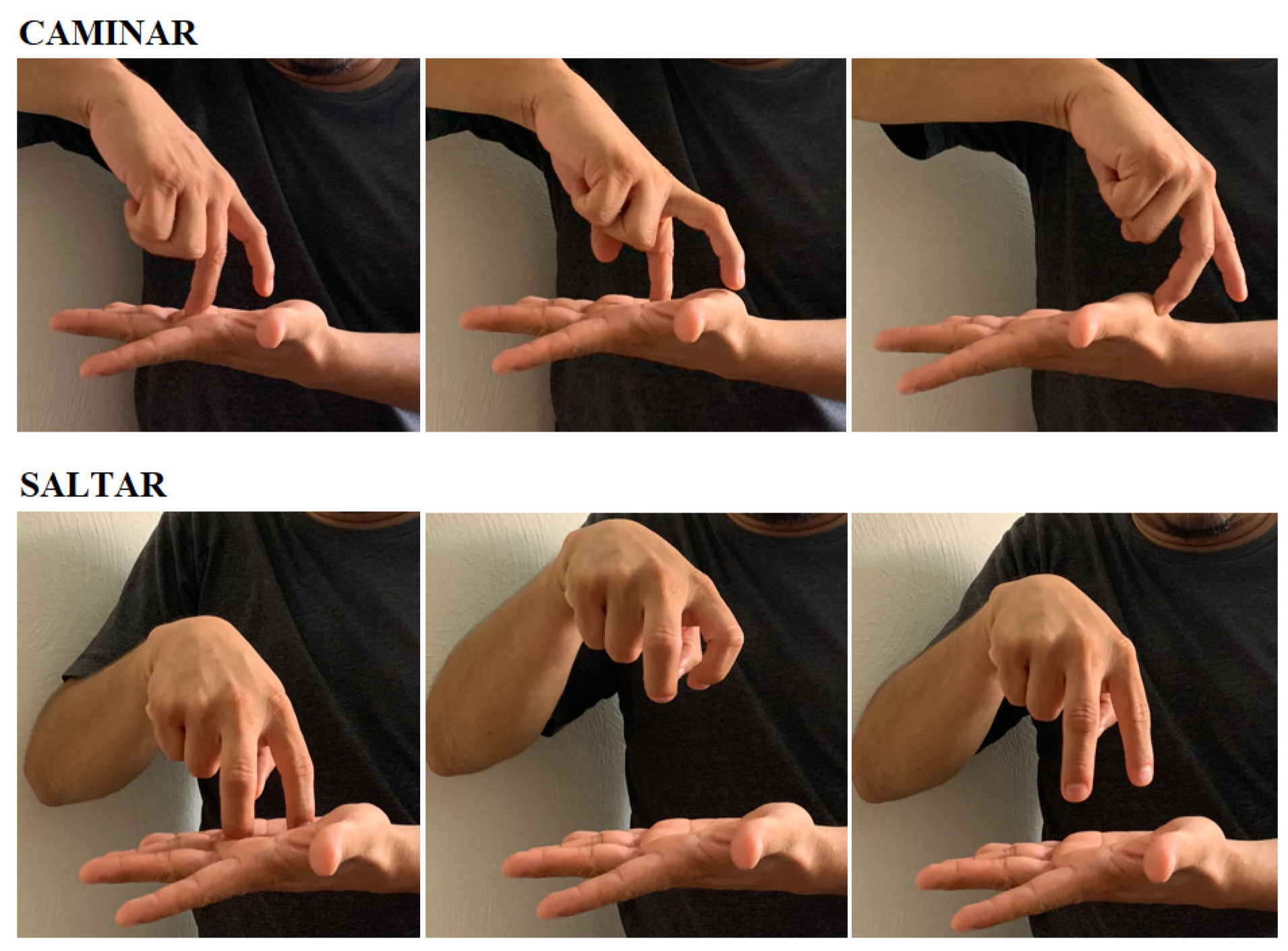 MTI Free Full-Text Exploring a Novel Mexican Sign Language Lexicon Video Dataset