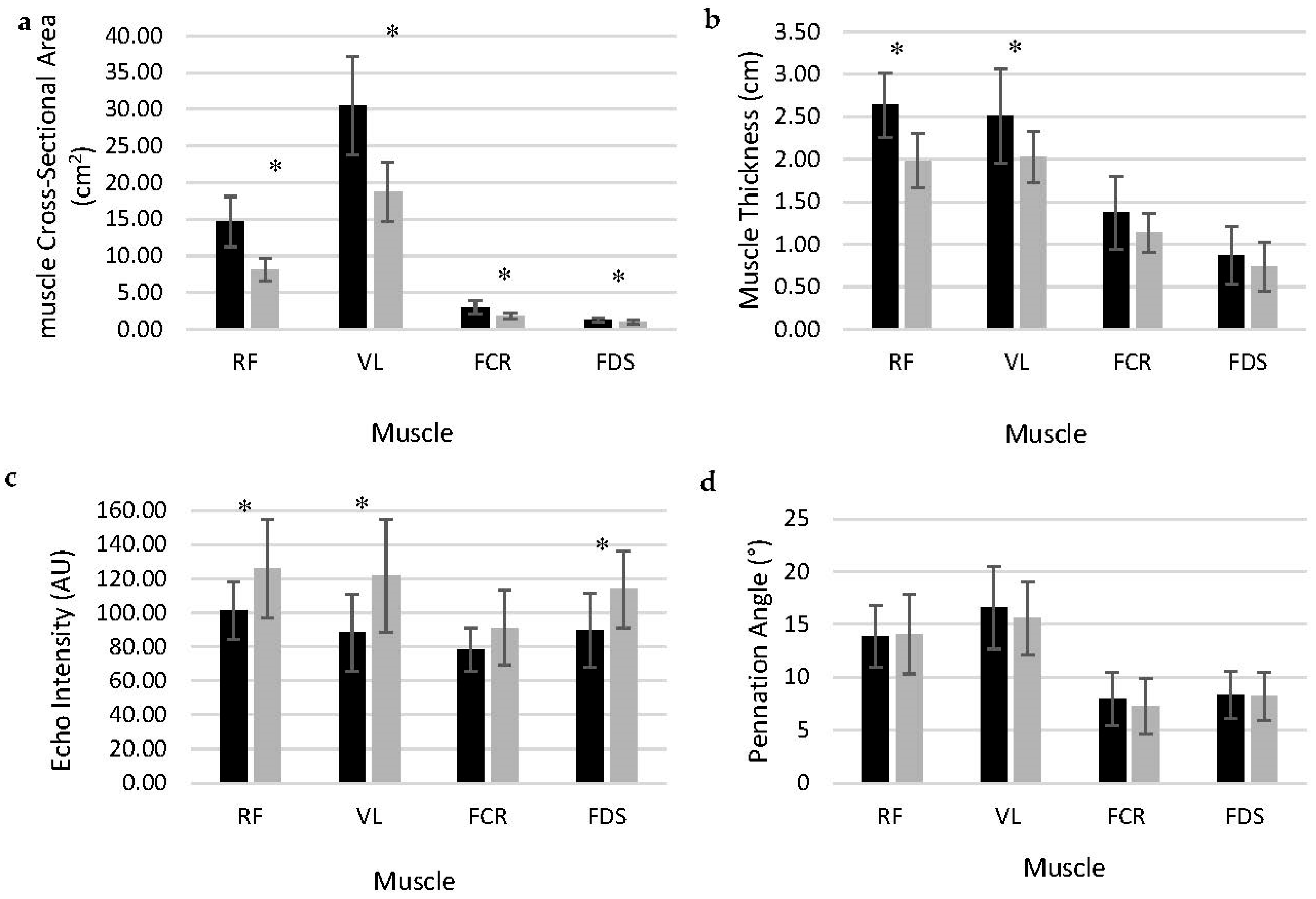 Muscles | Free Full-Text | Sex-Related Differences of Weight Bearing and  Non-Weight Bearing Muscle Properties