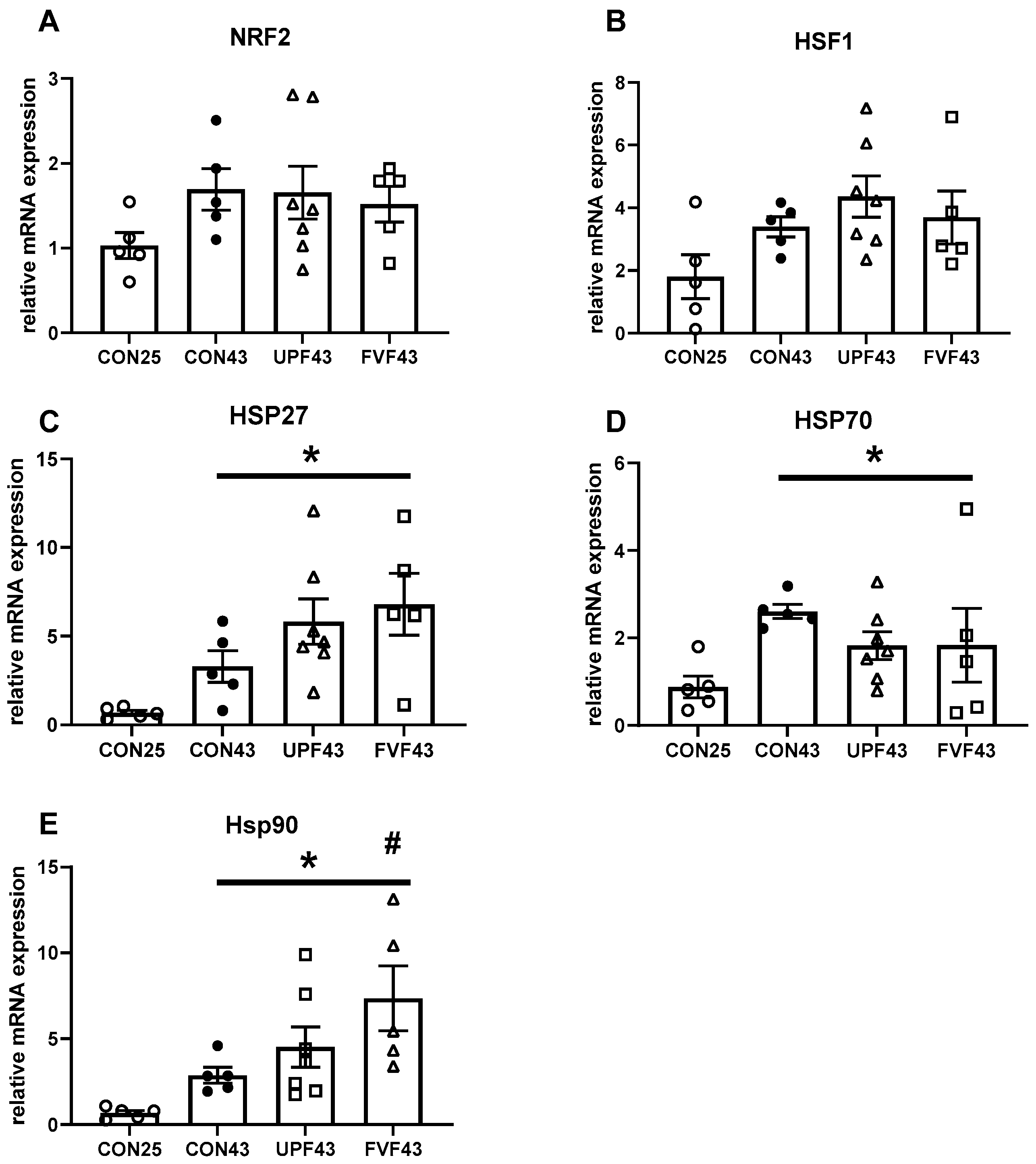 Muscles 04 00006 g002