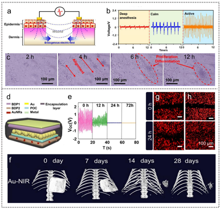Nanoenergyadv 02 00005 g005 Nanoenergyadv 02 00005 g005