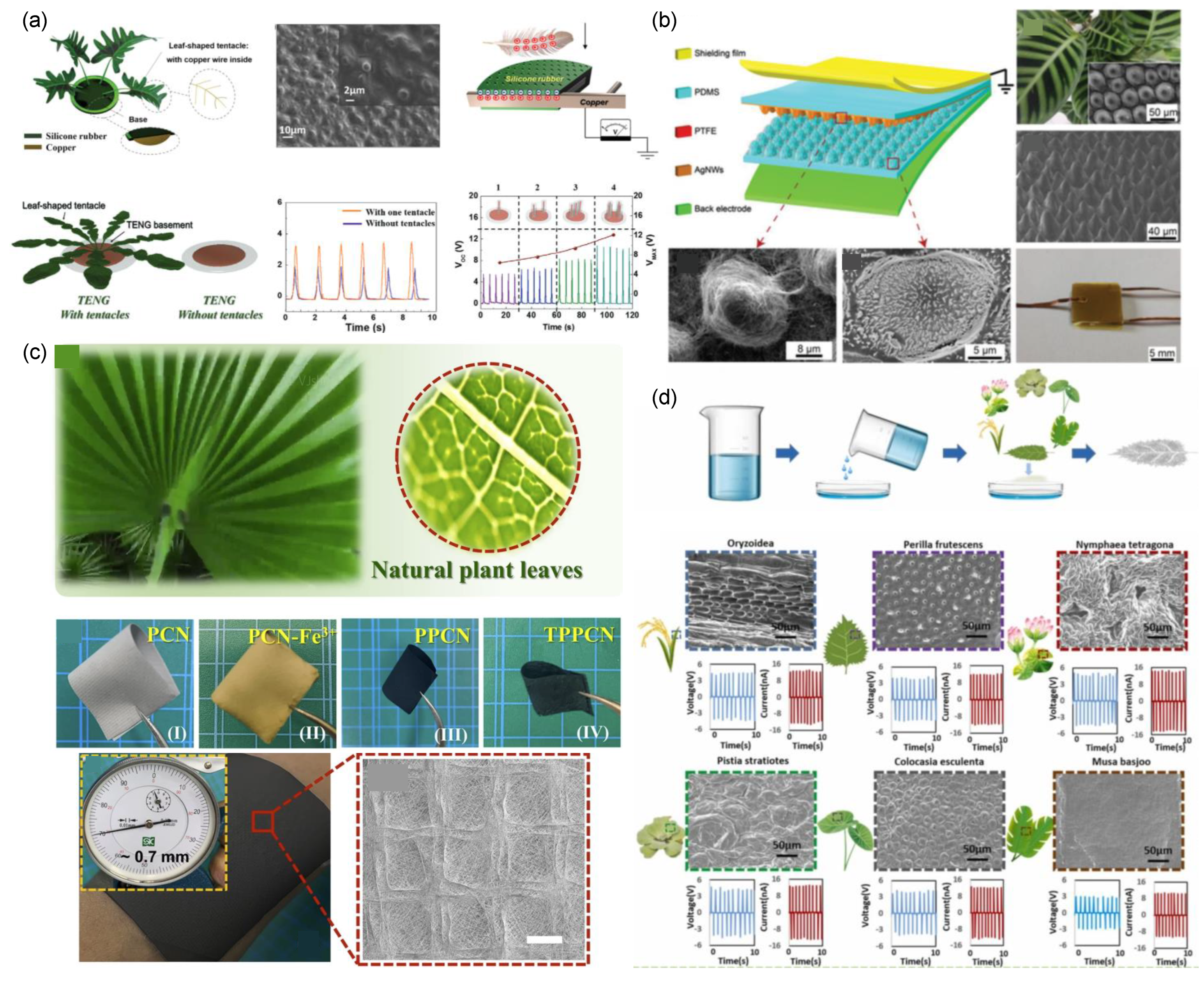 Nanoenergyadv 04 00003 g003