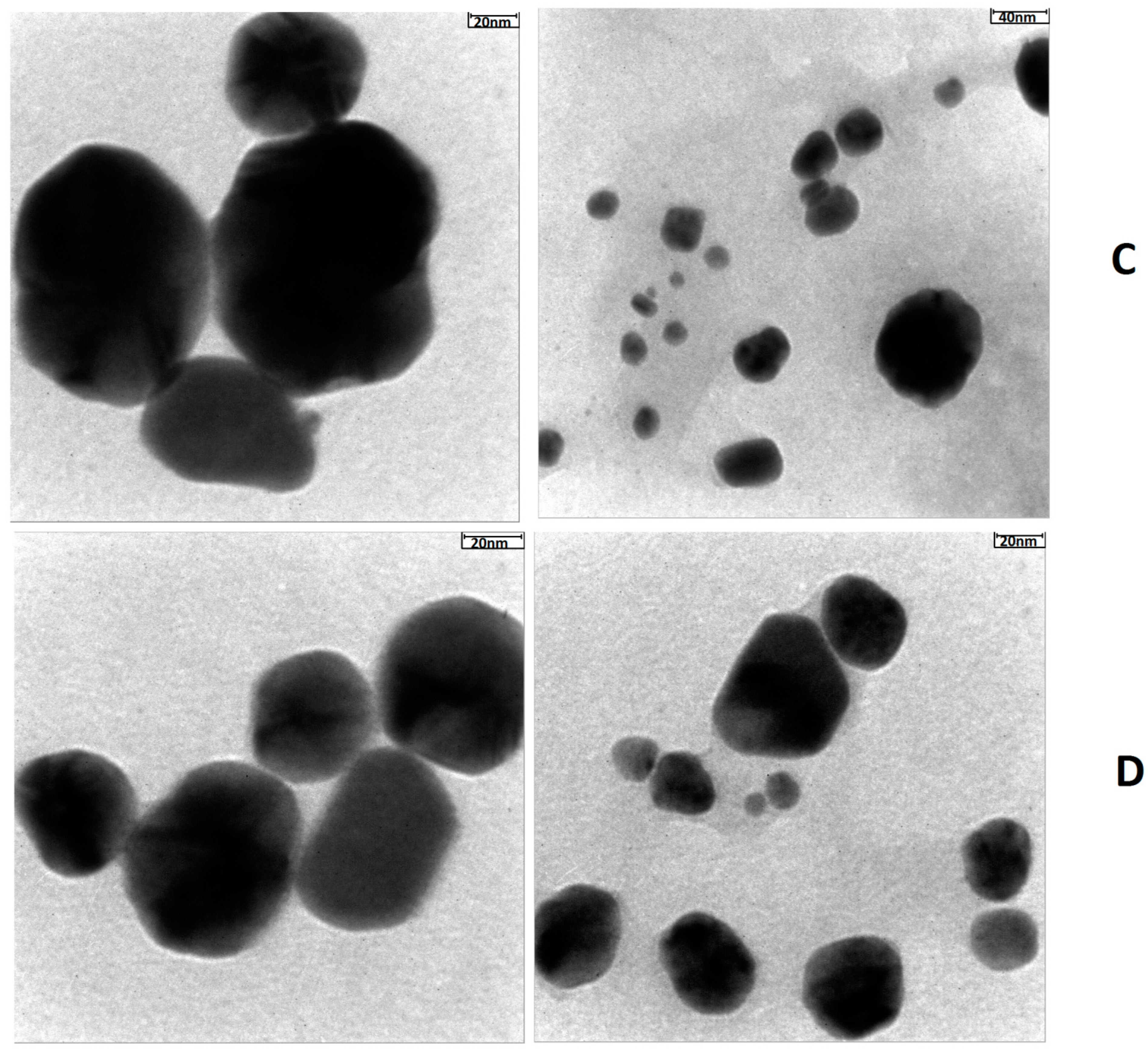 Nanomanufacturing 03 00016 g005b Nanomanufacturing 03 00016 g005b