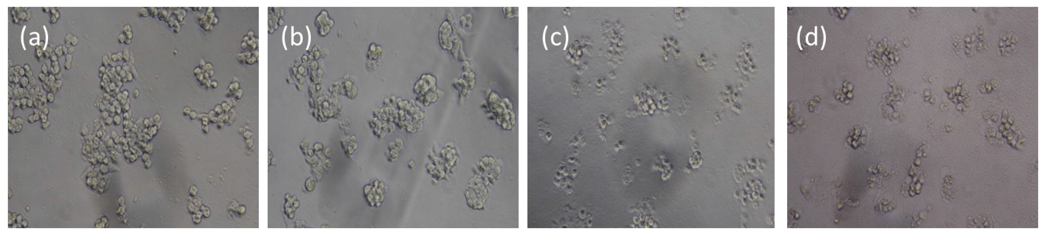 Nanomaterials 05 02169 g007