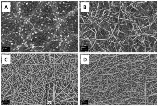 Nanomaterials Free Full Text Versatile Production Of Poly Epsilon Caprolactone Fibers By Electrospinning Using Benign Solvents Html