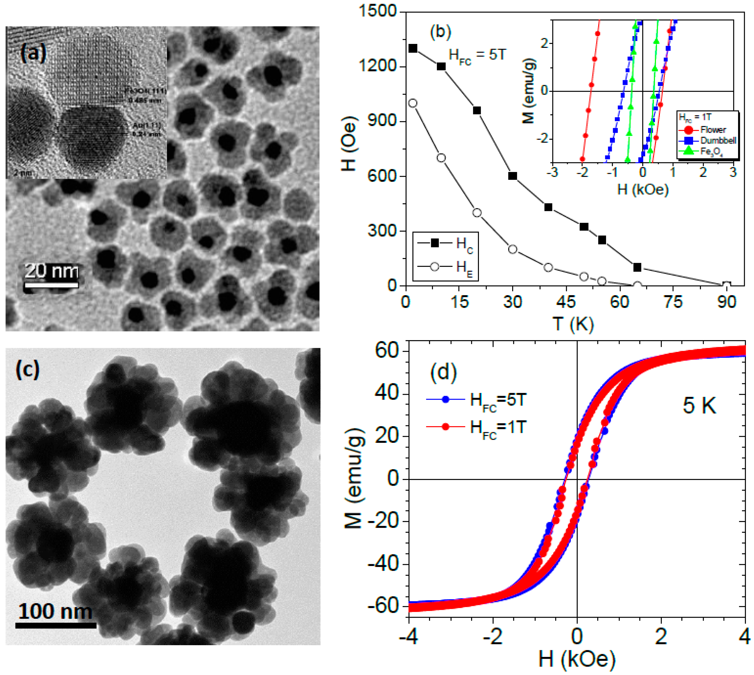 Nanomaterials 06 00221 g011