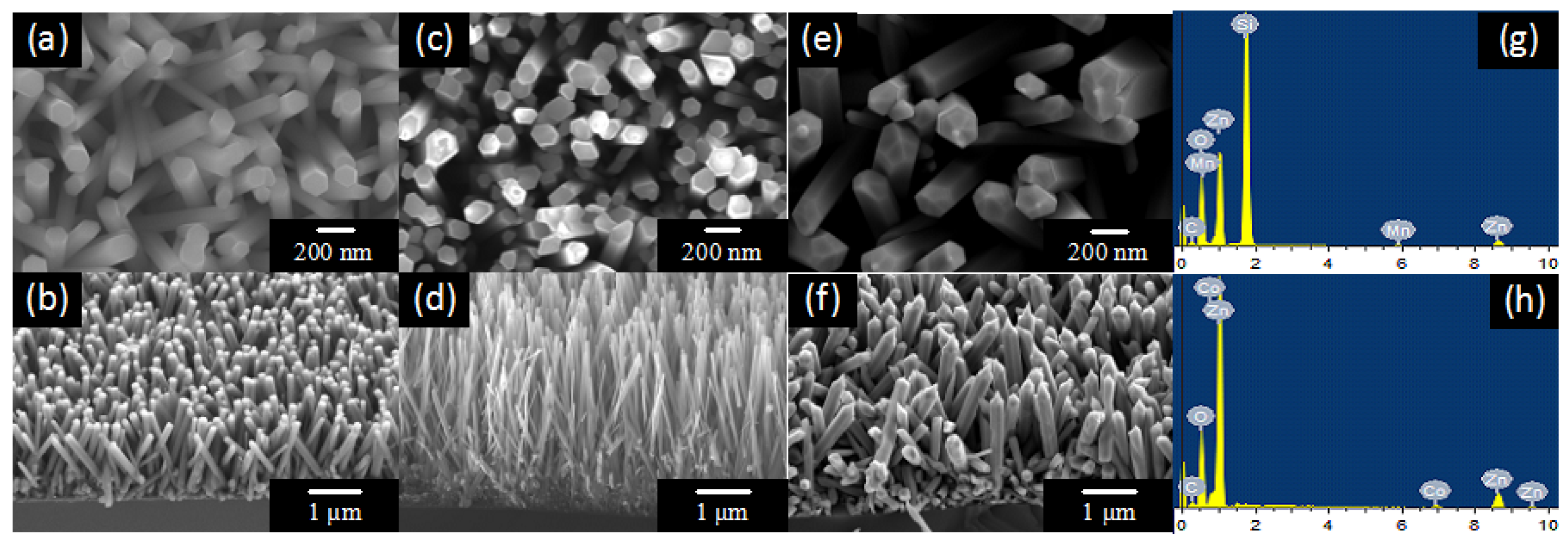 Nanomaterials Free Full Text Enhanced Visible Light Photocatalytic Activity Of Zno Nanowires Doped With Mn2 And Co2 Ions Html