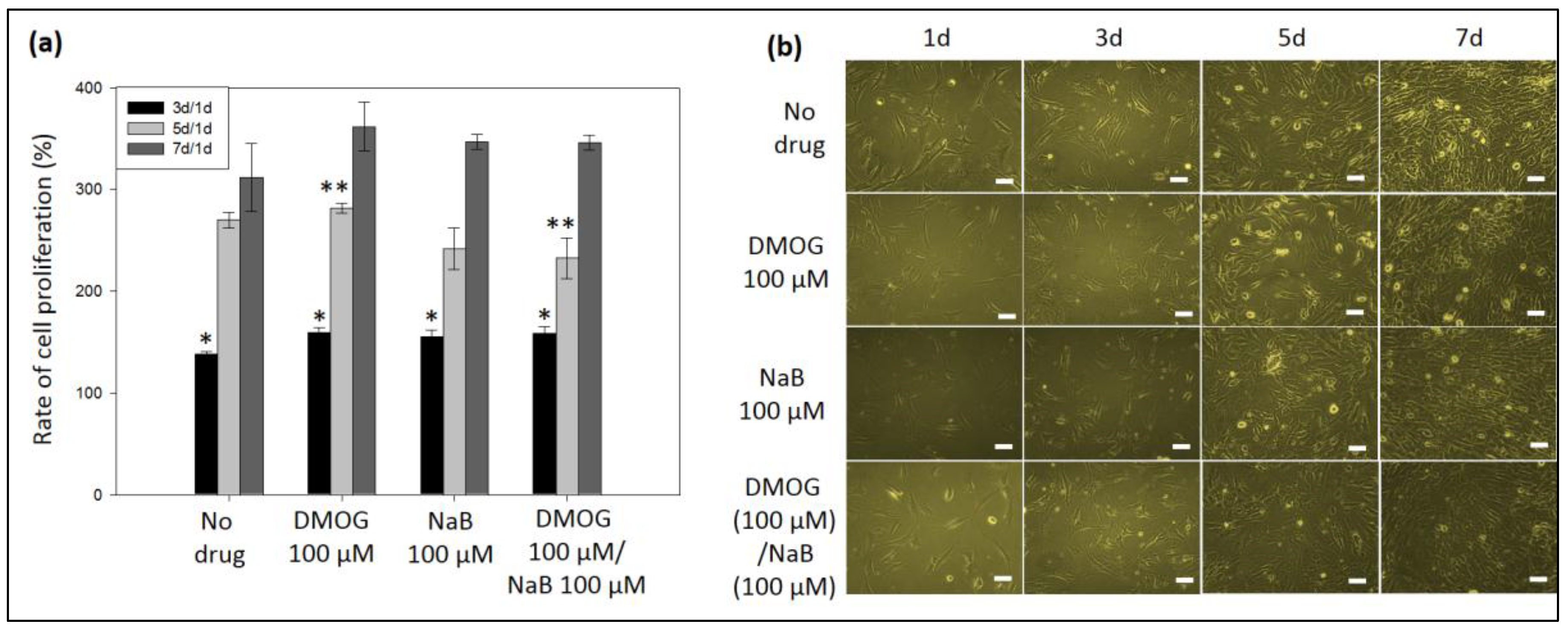 Nanomaterials 07 00328 g006