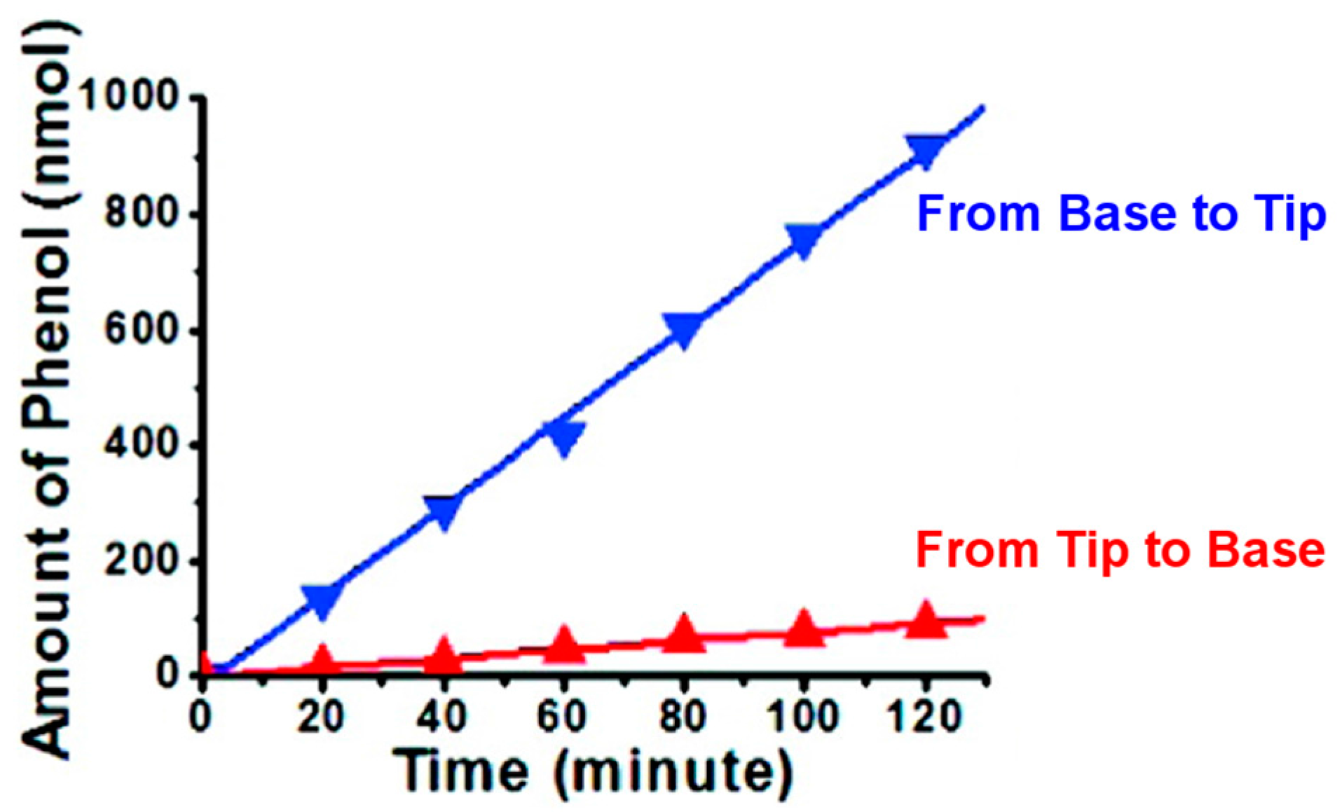 Nanomaterials 07 00445 g010
