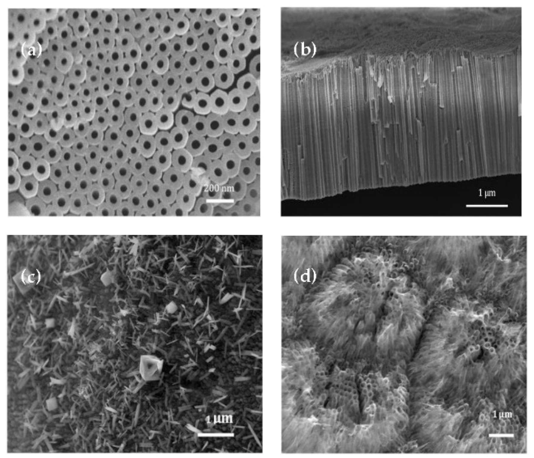 Nanomaterials Free Full Text Titanium Dioxide Nanotubes As Model Systems For Electrosorption Studies Html