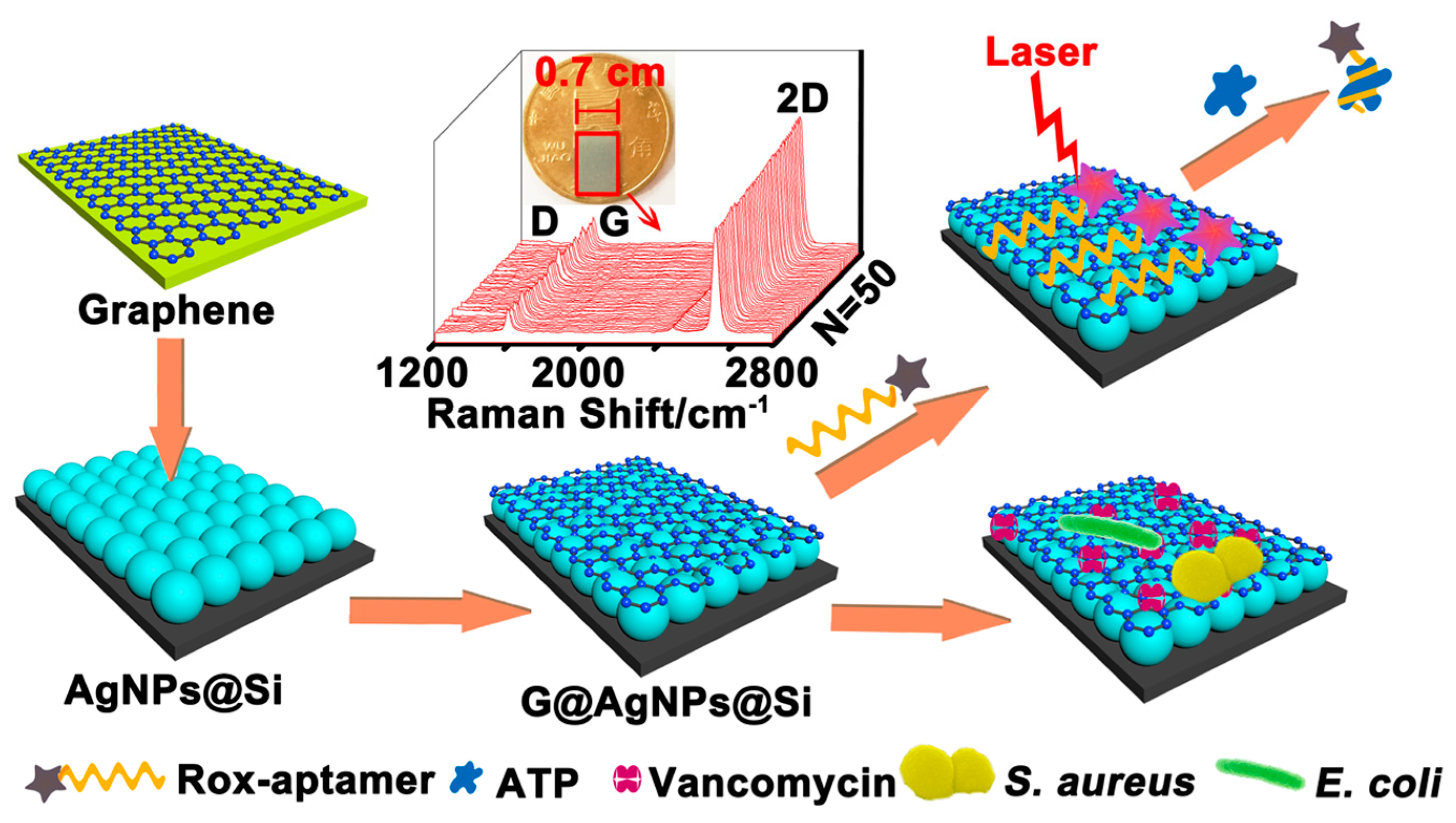 Nanomaterials 08 00730 g005