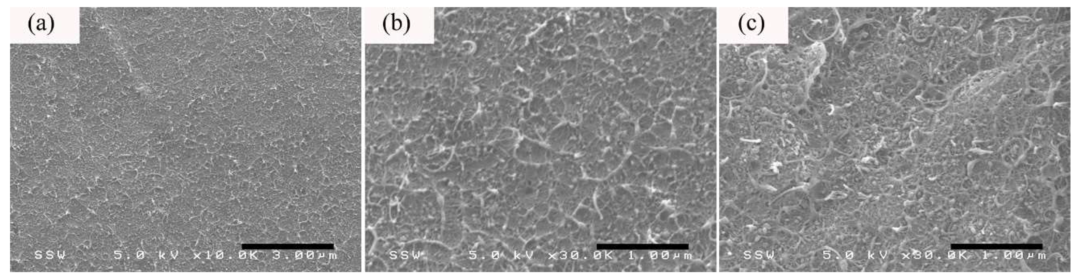 Nanomaterials 08 00779 g008