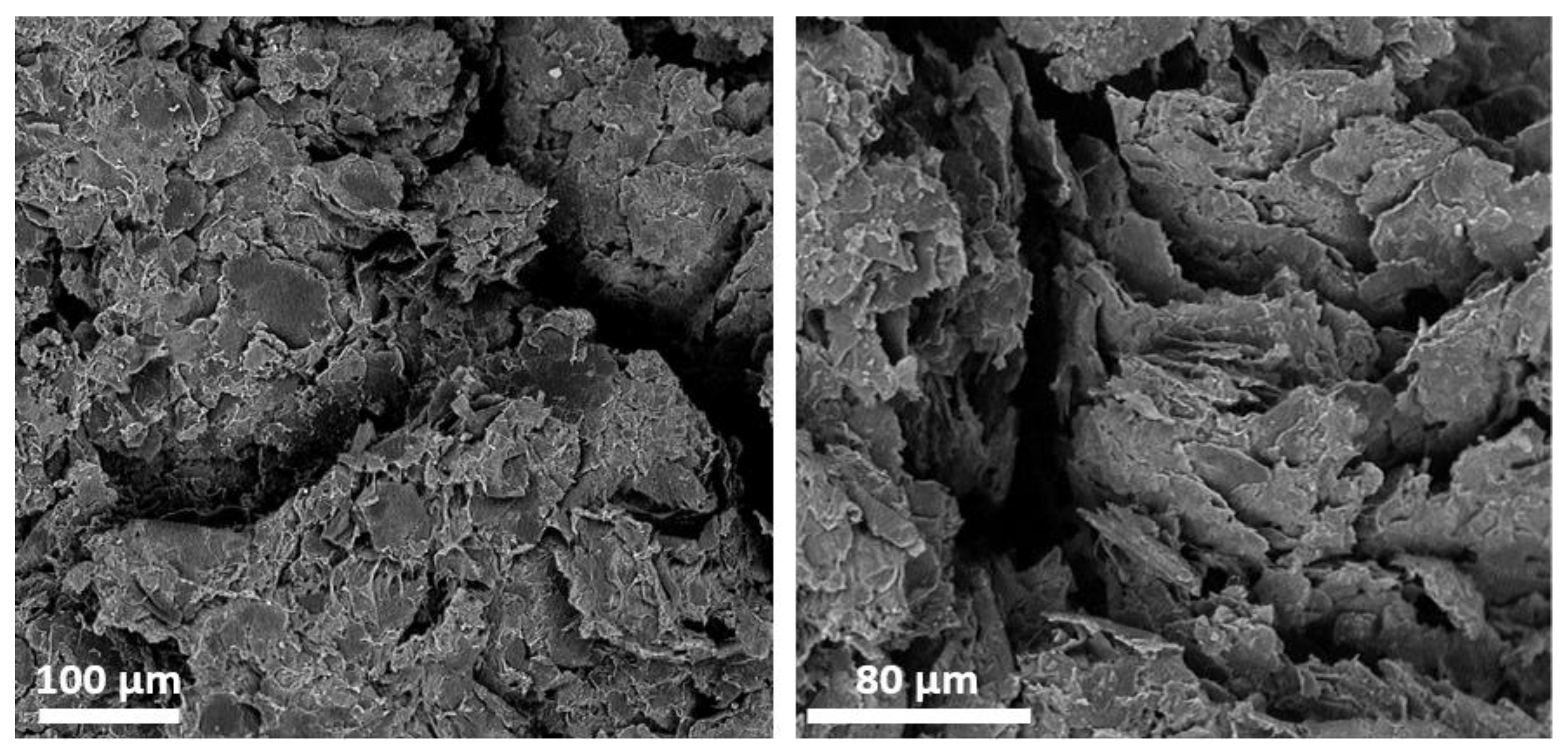 Nanomaterials 08 00829 g004