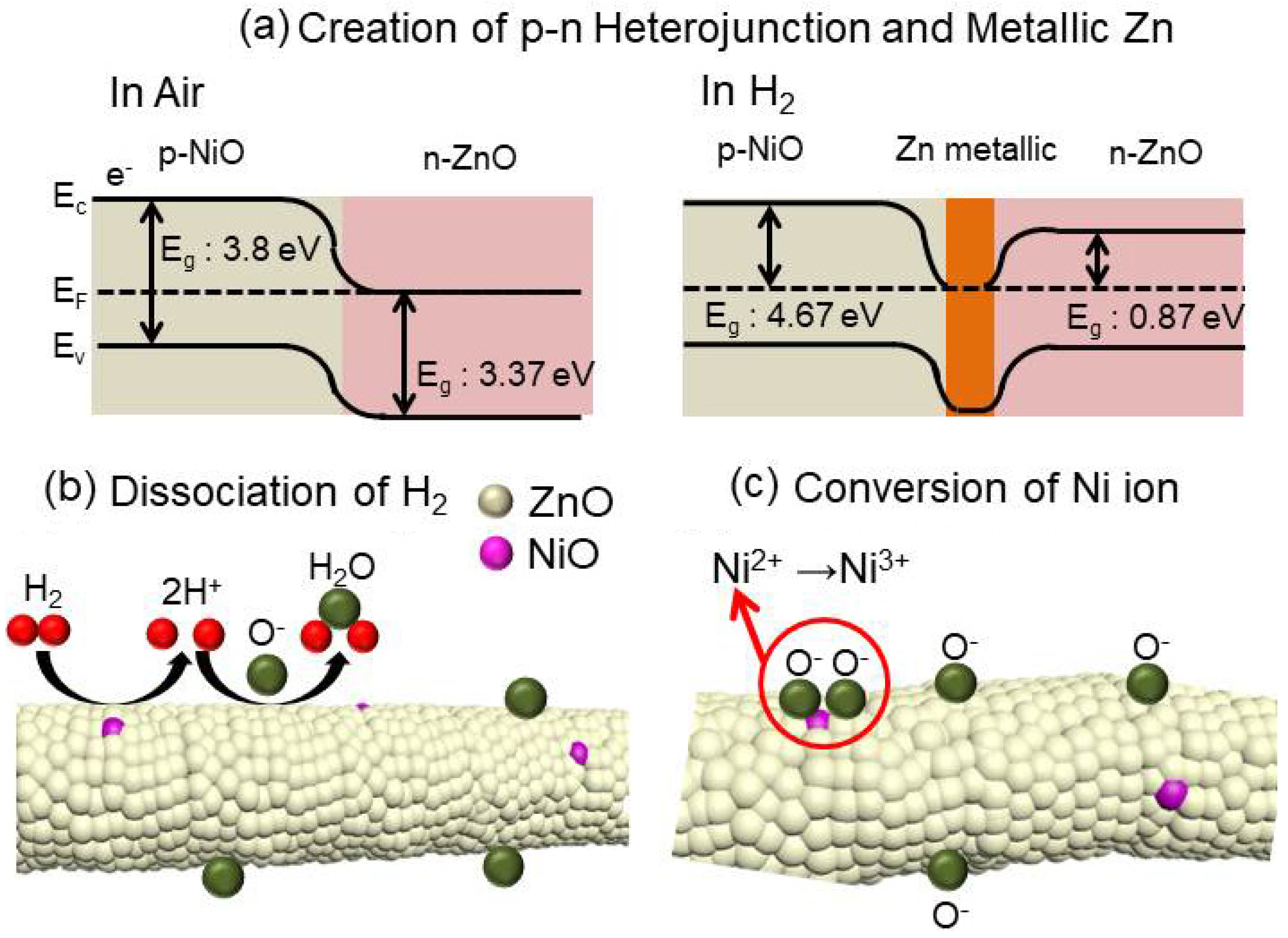 Nanomaterials 08 00902 g012