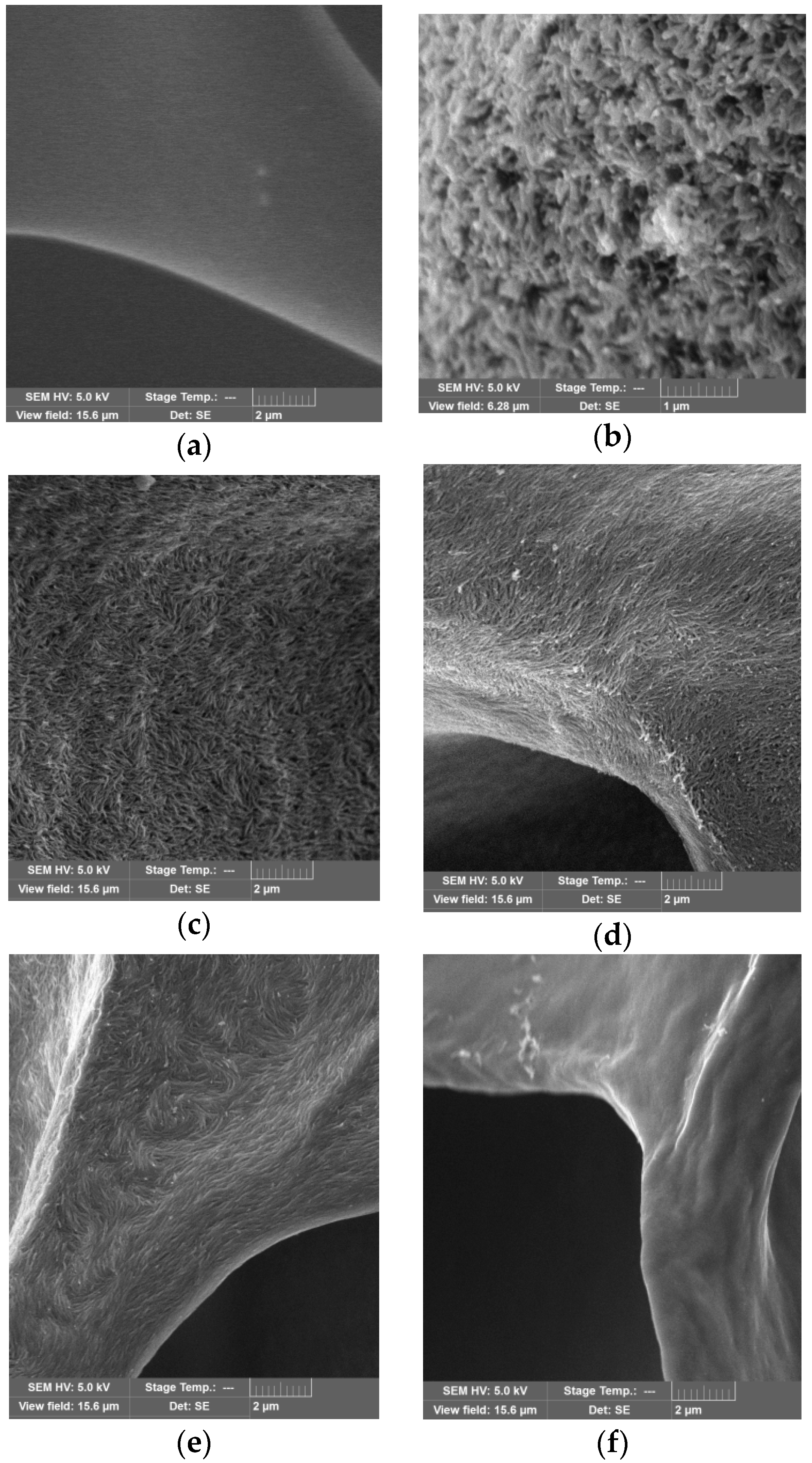 Nanomaterials Free Full Text Preparation And Characterization Of Polyvinylpyrrolidone Cellulose Nanocrystals Composites Html