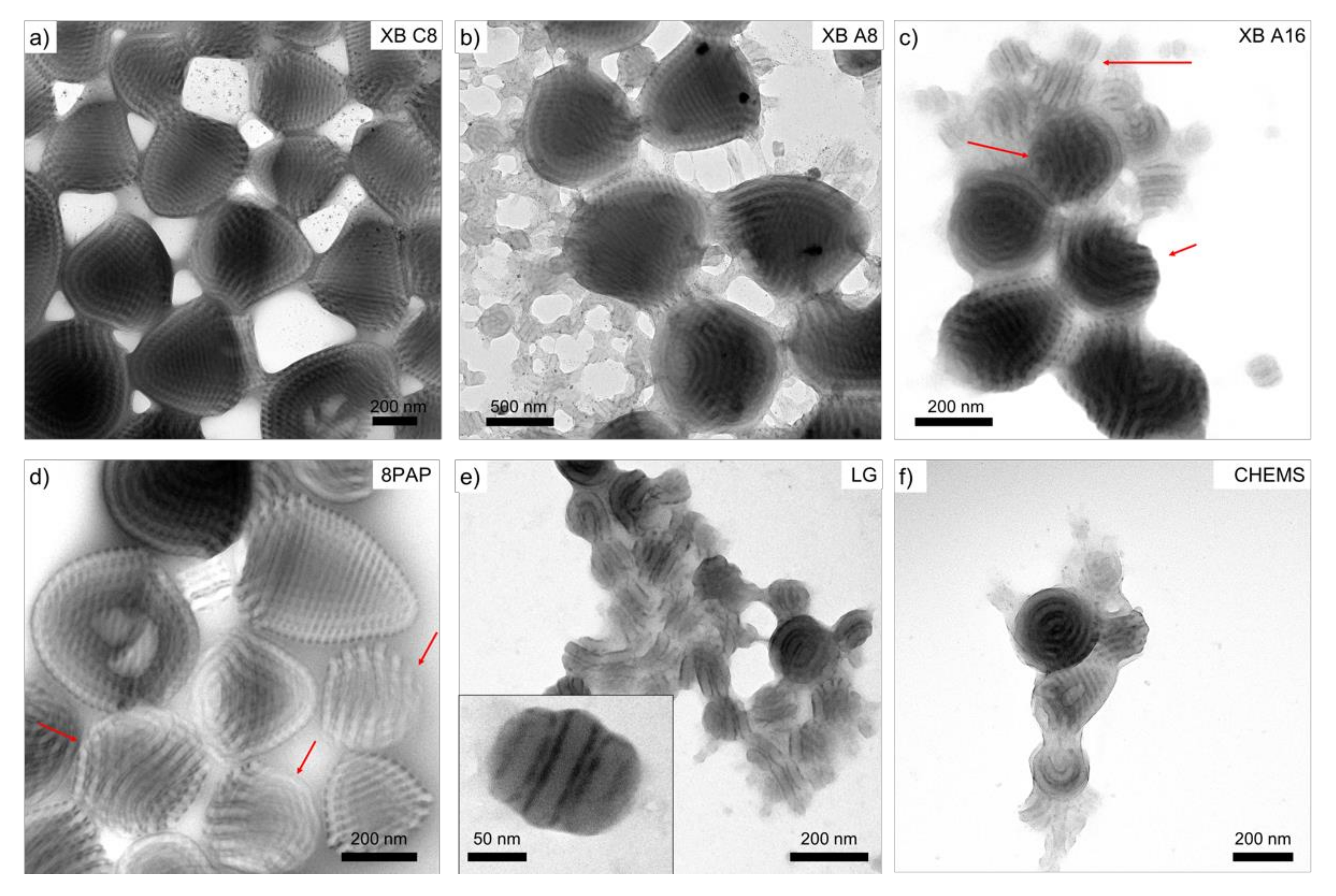 Nanomaterials 08 01029 g005 Nanomaterials 08 01029 g005