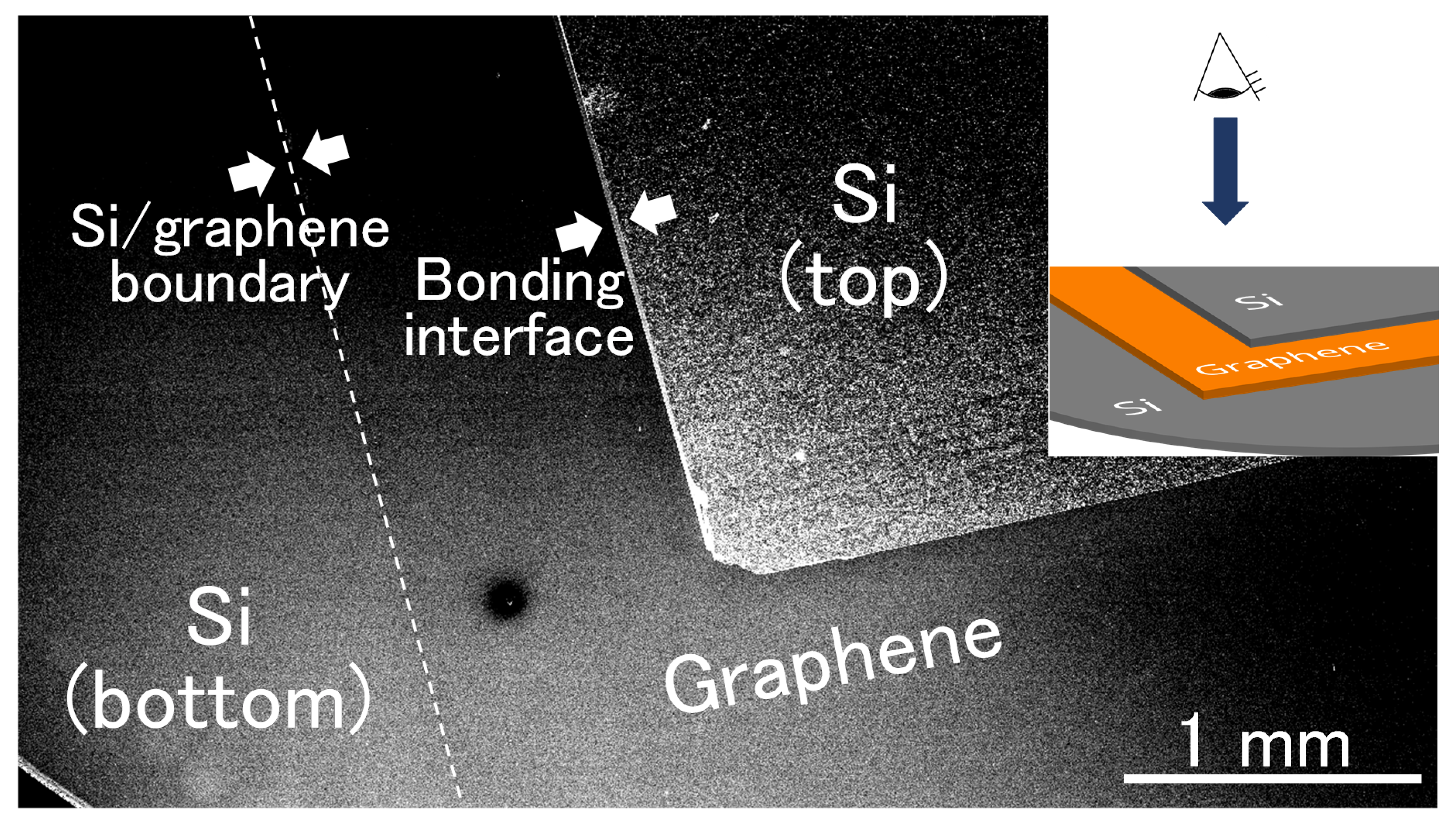 Nanomaterials 08 01048 g003 Nanomaterials 08 01048 g003