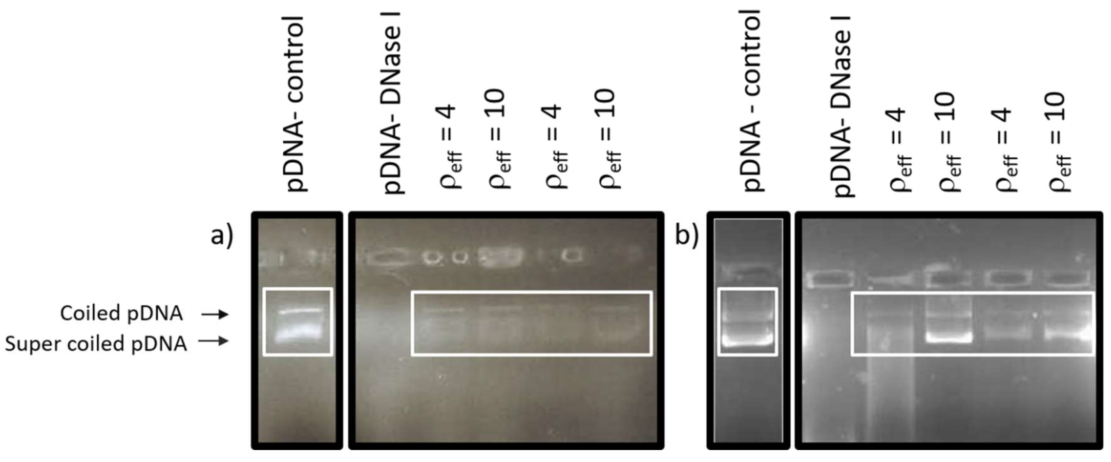 Nanomaterials 08 01061 g004 Nanomaterials 08 01061 g004