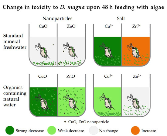 Nanomaterials | Free Full-Text | Combined Effects of Test Media and Dietary  Algae on the Toxicity of CuO and ZnO Nanoparticles to Freshwater  Microcrustaceans Daphnia magna and Heterocypris incongruens: Food for  Thought