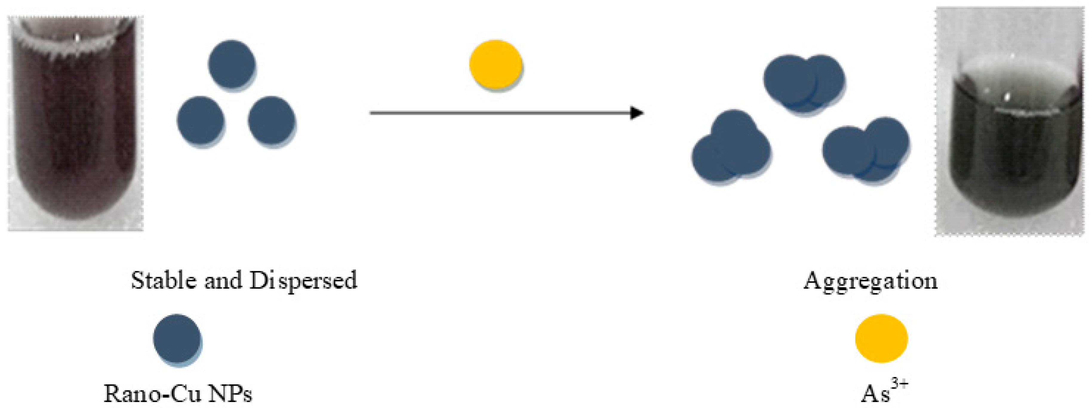Nanomaterials 09 00083 sch001