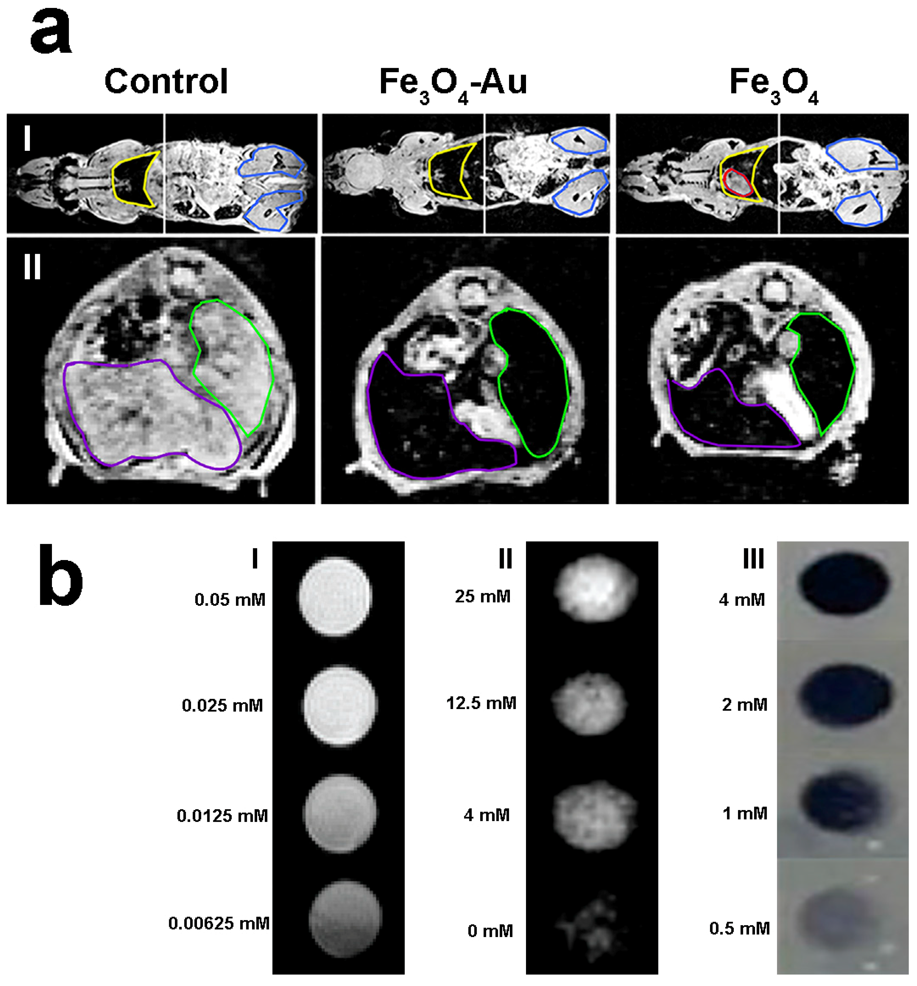 Nanomaterials Free Full Text Magnetic Plasmonic Heterodimer Nanoparticles Designing Contemporarily Features For Emerging Biomedical Diagnosis And Treatments Html