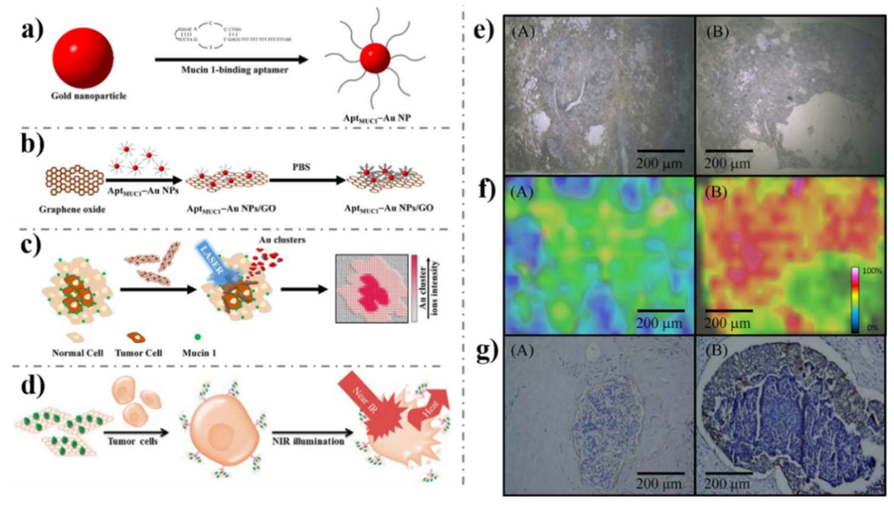 Nanomaterials | Free Full-Text | Biomarkers-based Biosensing And ...