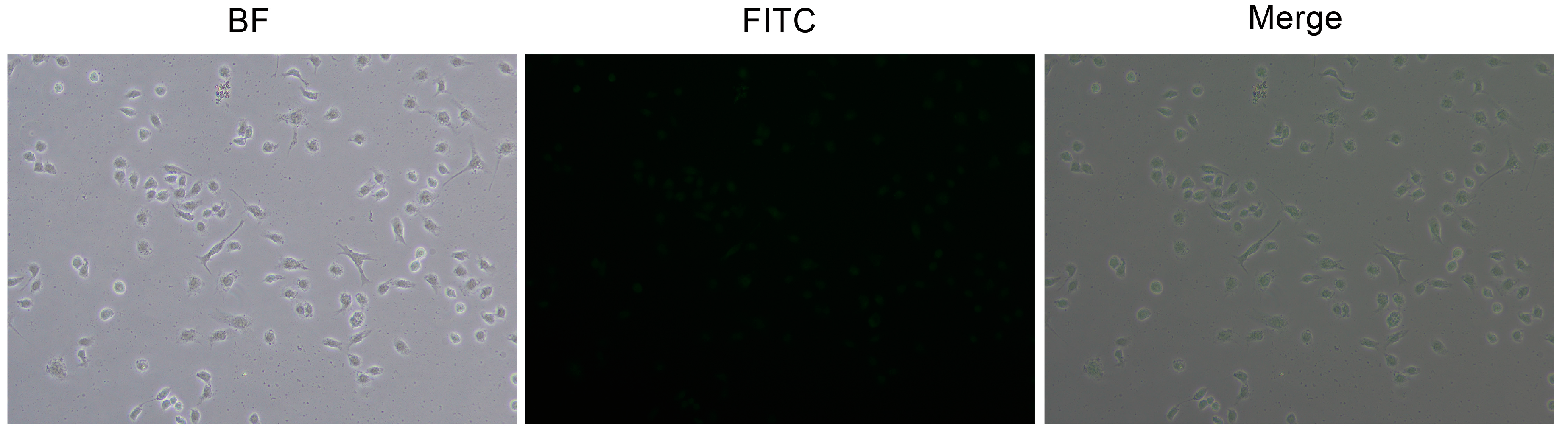 Nanomaterials 09 00147 g009 Nanomaterials 09 00147 g009