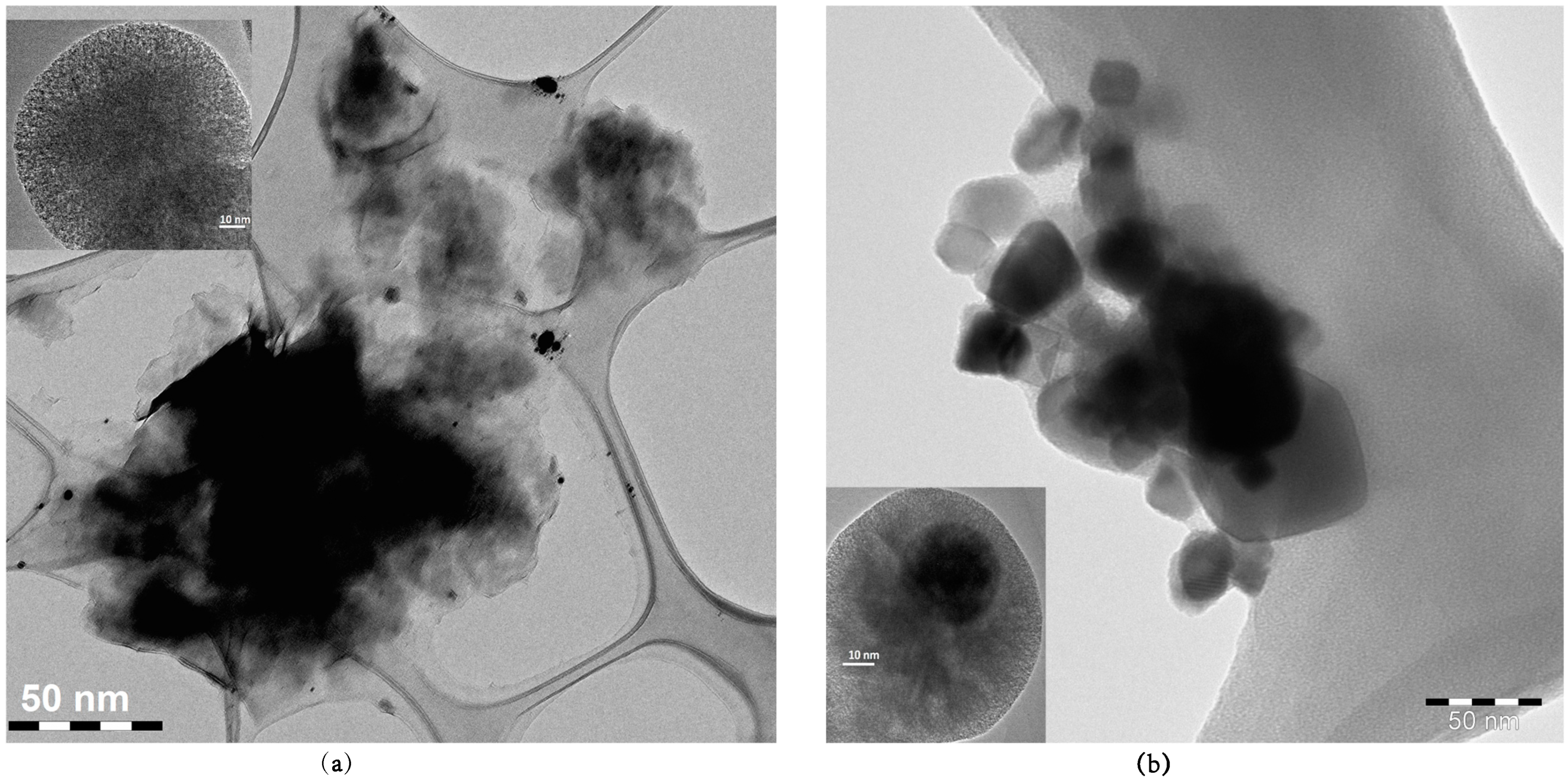 Nanomaterials 09 00187 g004
