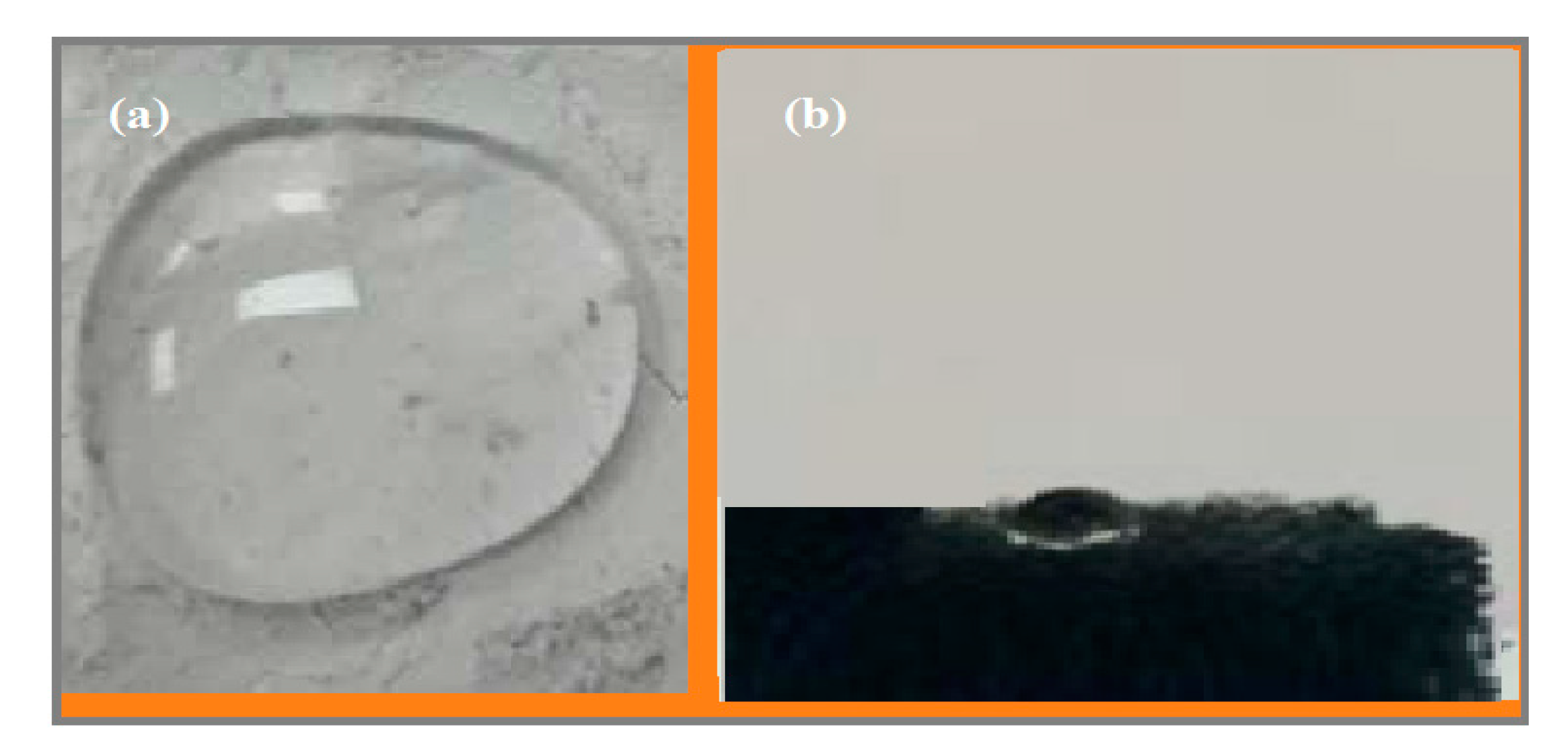 Nanomaterials 09 00187 g010