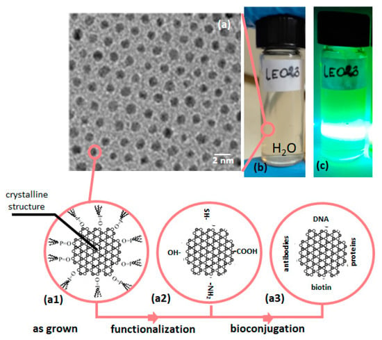 Nanomaterials Free Full Text Optical Sensors Based On Ii Vi Quantum Dots Html