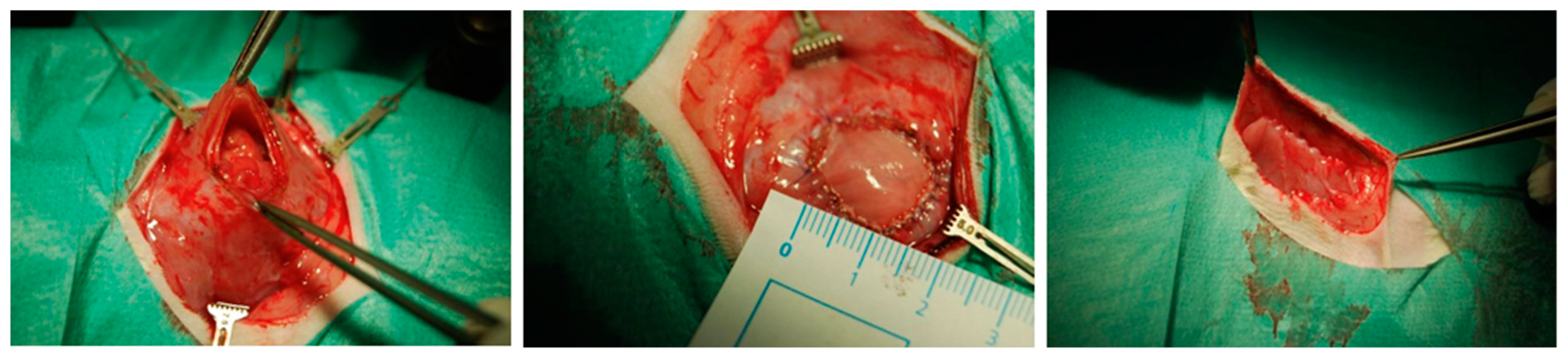 Nanomaterials 09 00236 g002