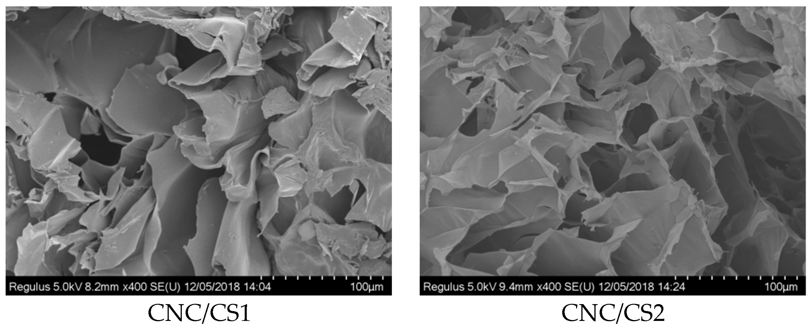 Nanomaterials 09 00253 g005a