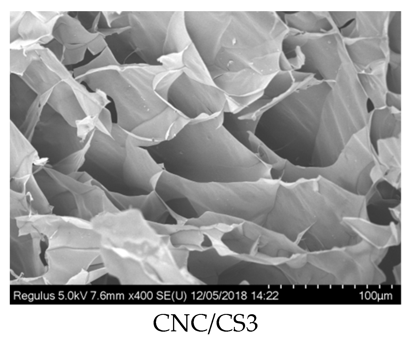 Nanomaterials 09 00253 g005b