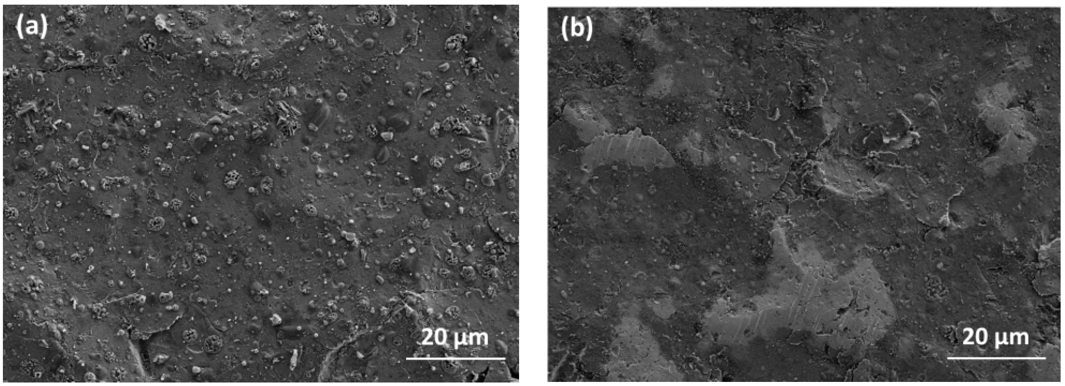 Nanomaterials 09 00255 g009