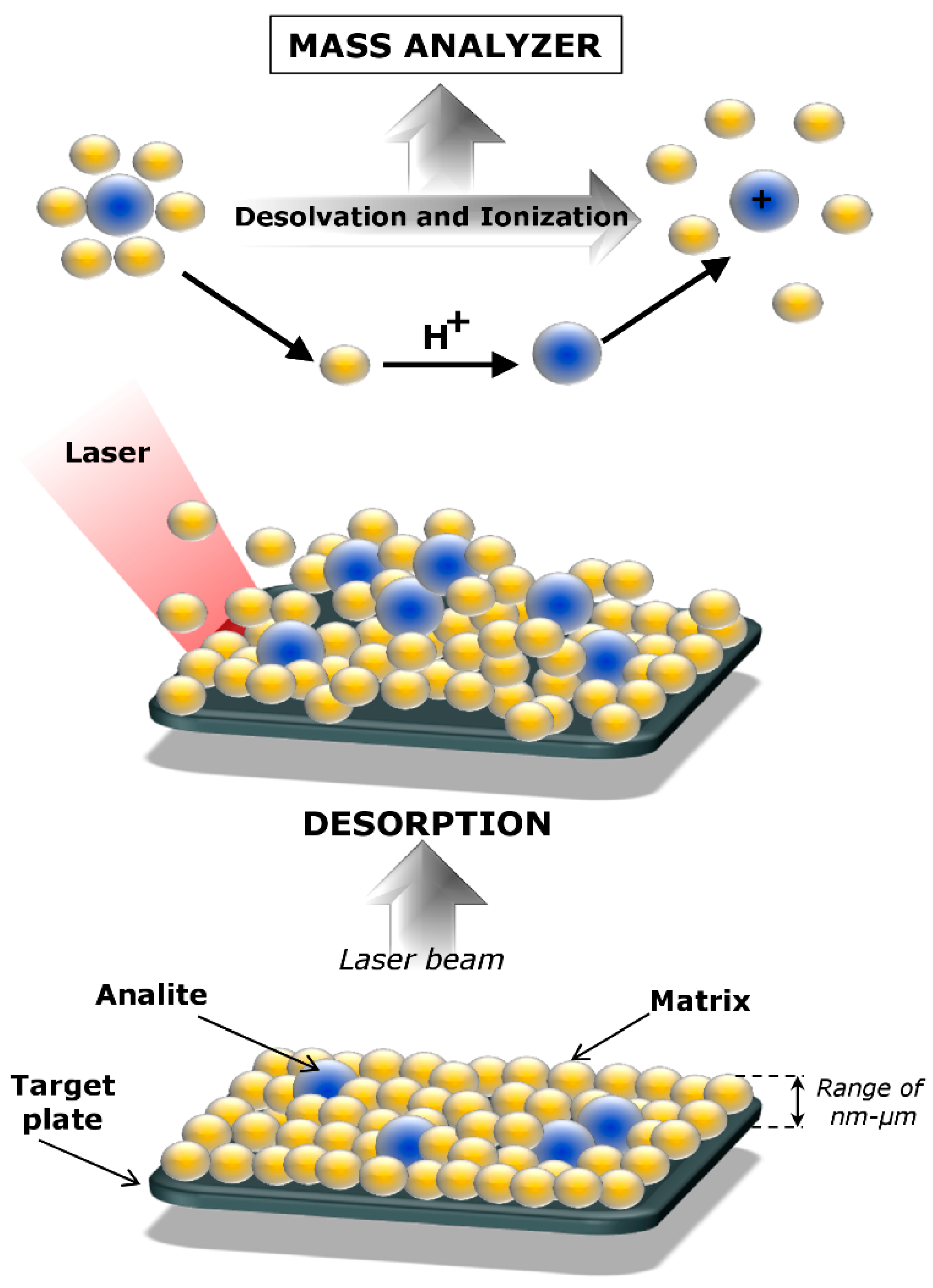 Nanomaterials | Free Full-Text | Complementarity of Matrix- and  Nanostructure-Assisted Laser Desorption/Ionization Approaches