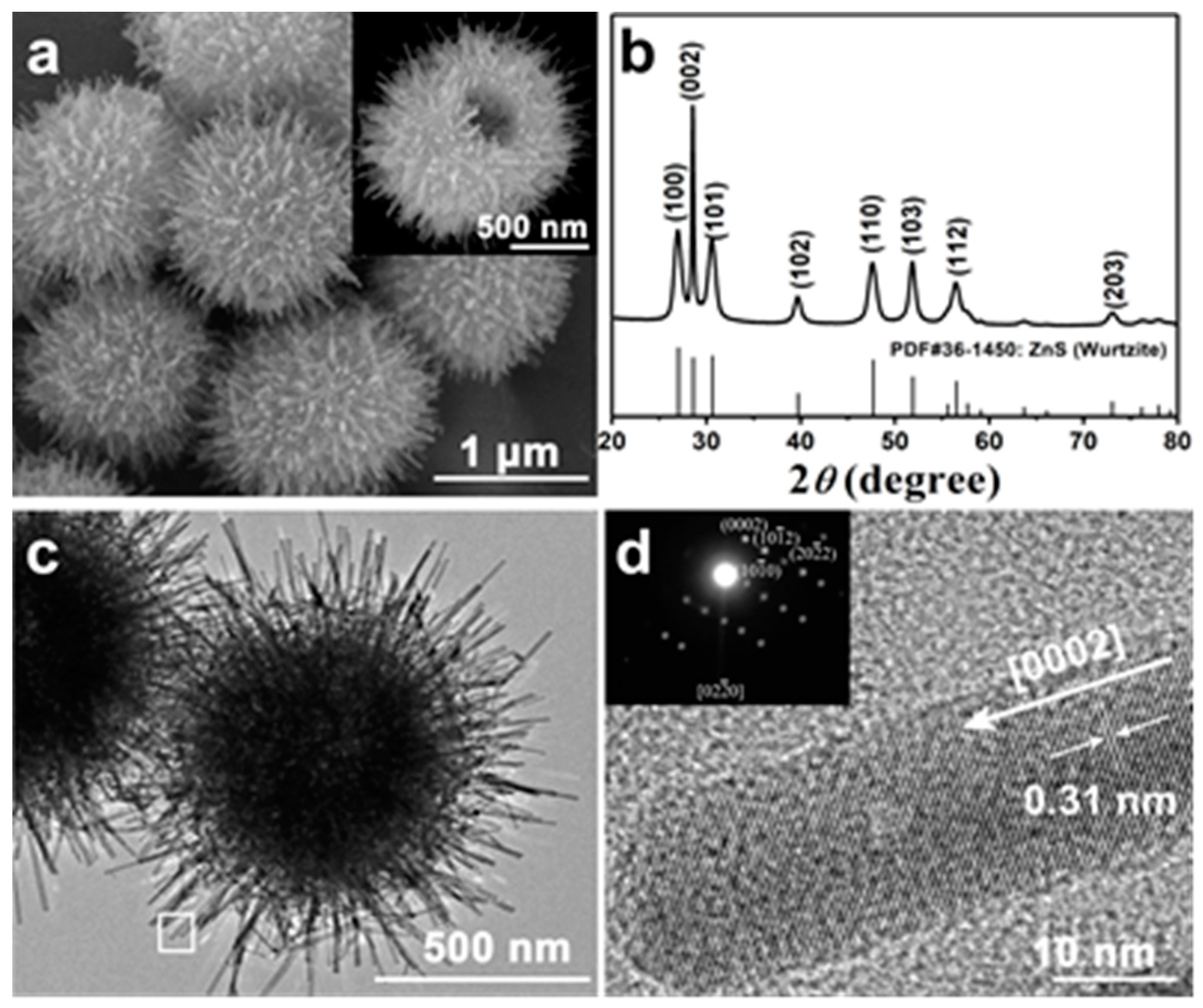 Nanomaterials 09 00273 g001