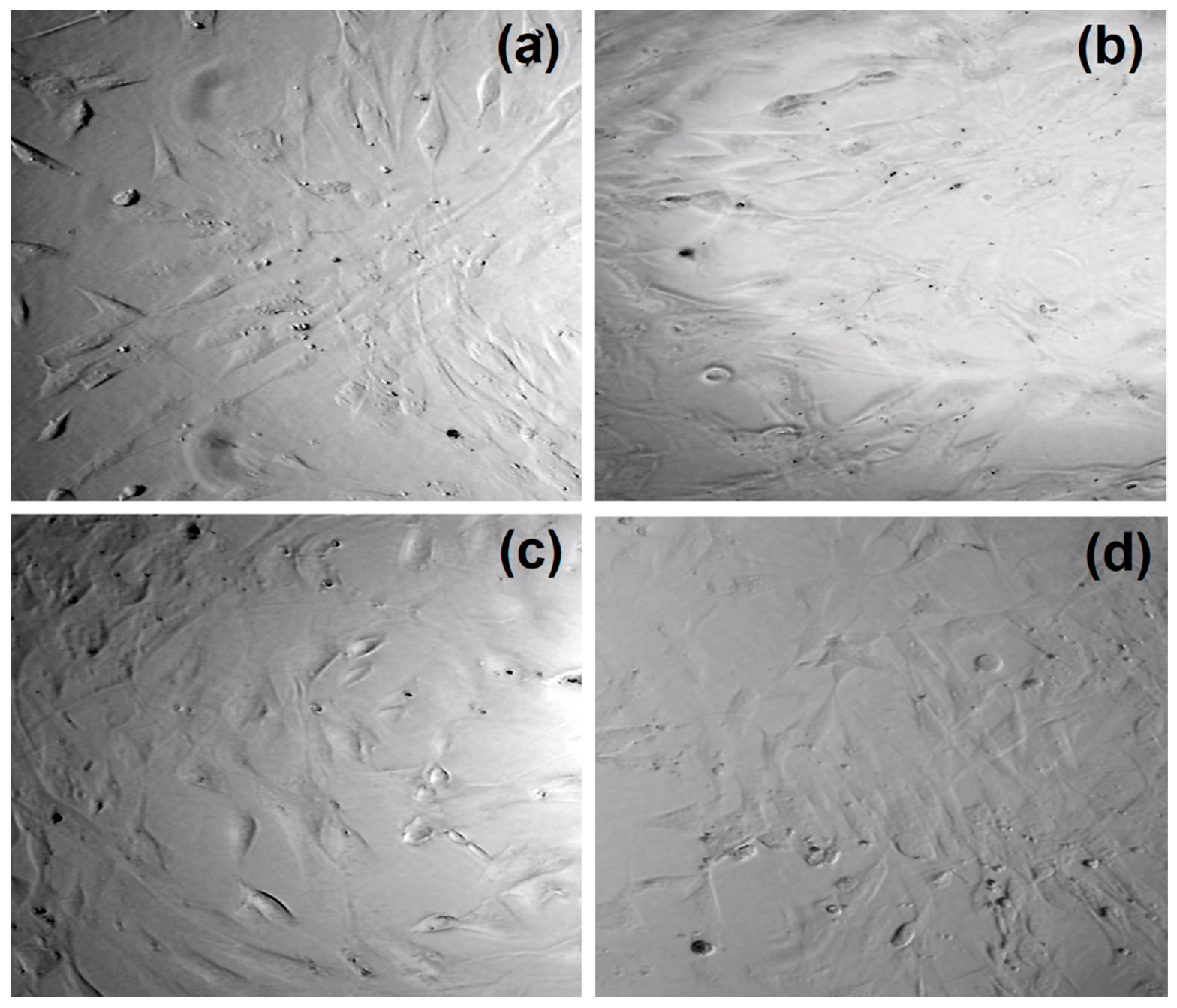 Nanomaterials 09 00274 g008