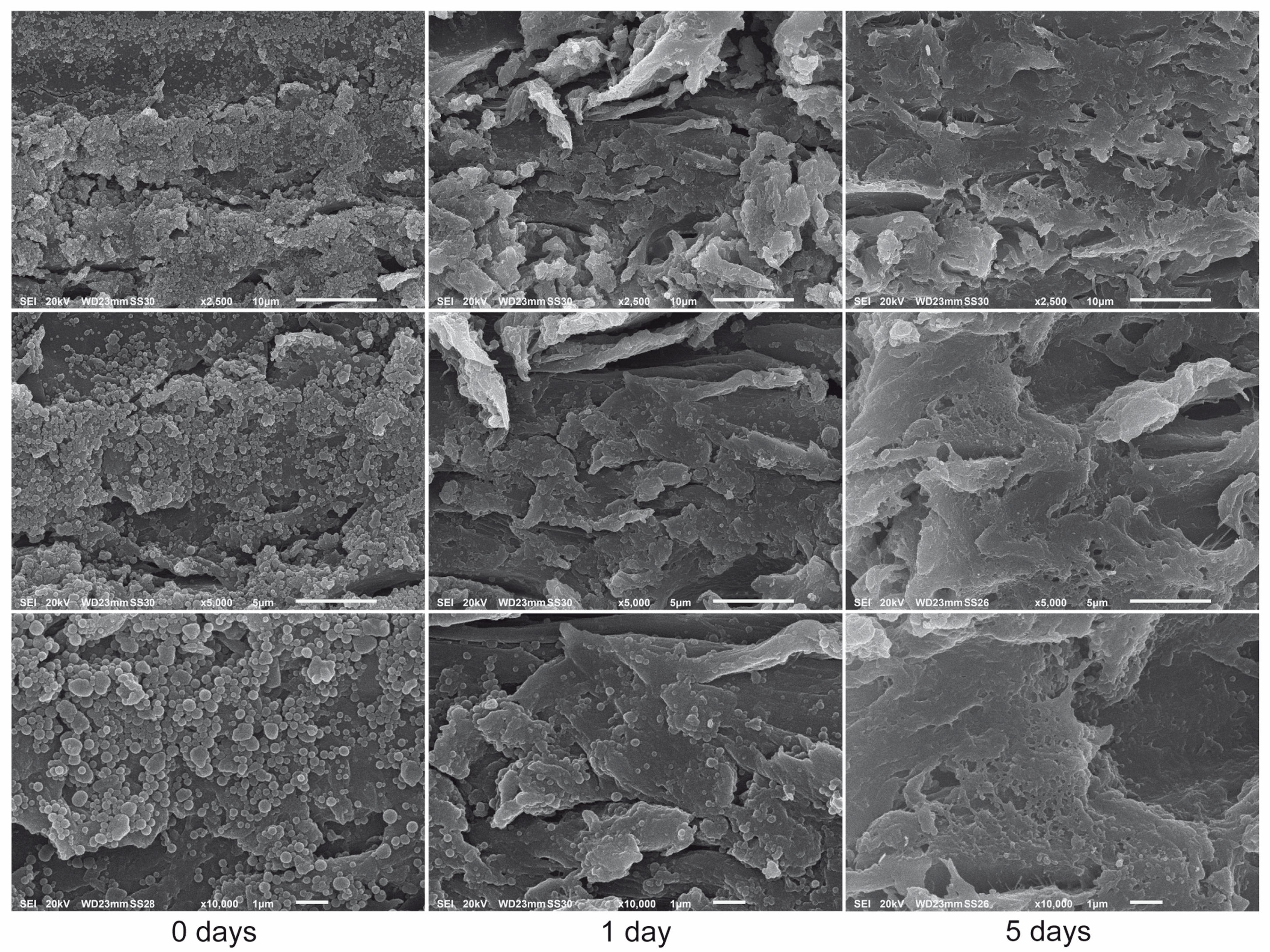 Nanomaterials 09 00281 g009