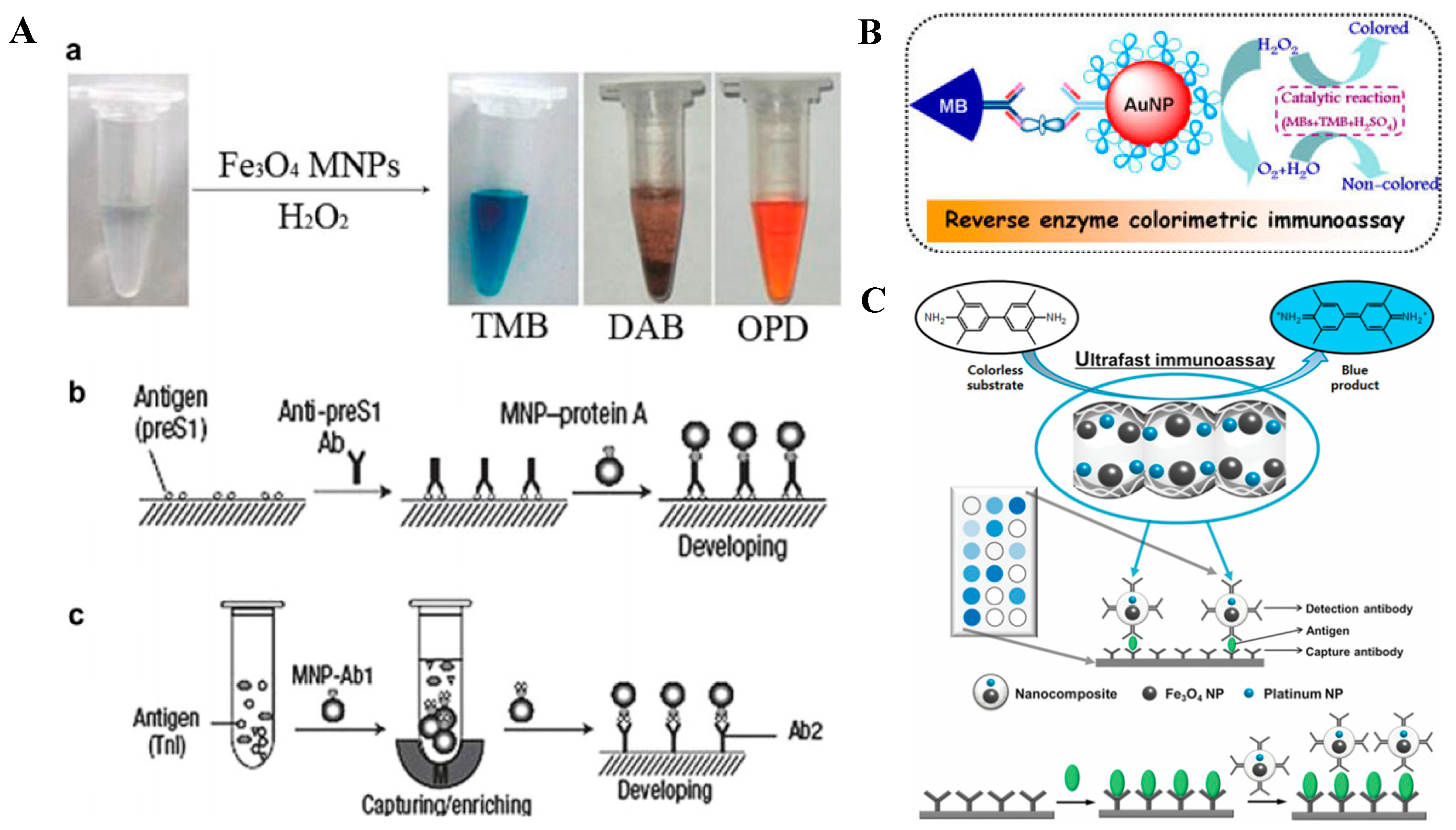 Nanomaterials 09 00316 g004 Nanomaterials 09 00316 g004