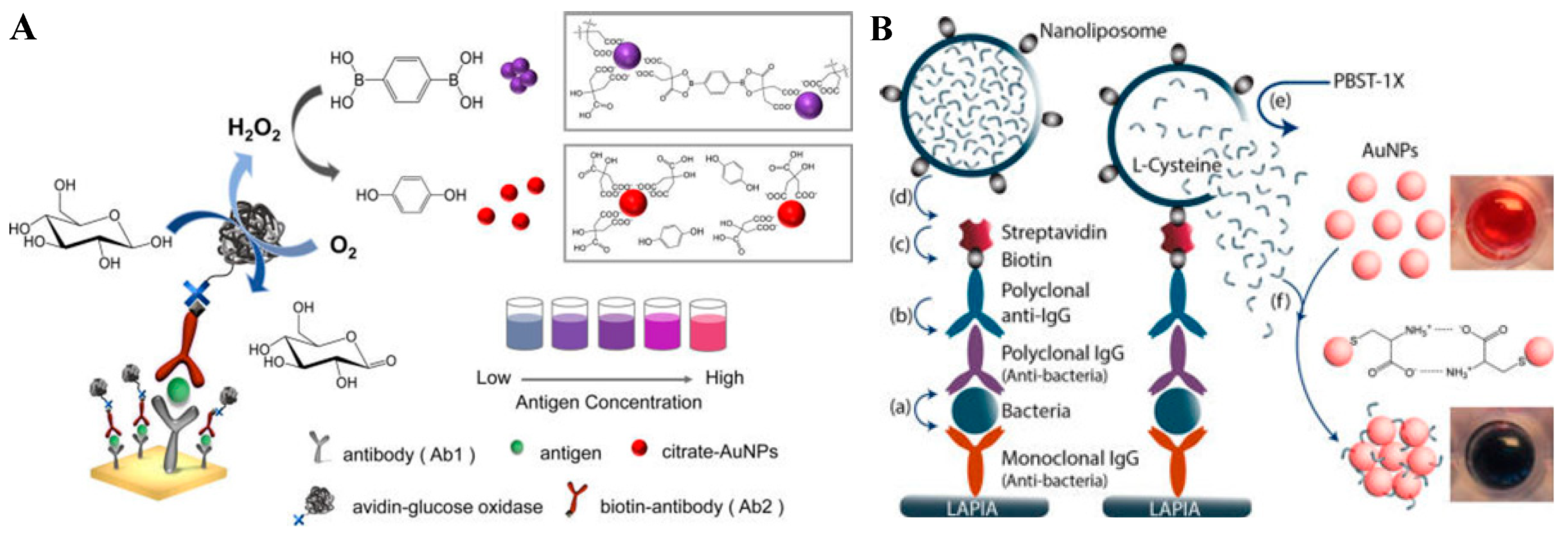 Nanomaterials 09 00316 g009a Nanomaterials 09 00316 g009a