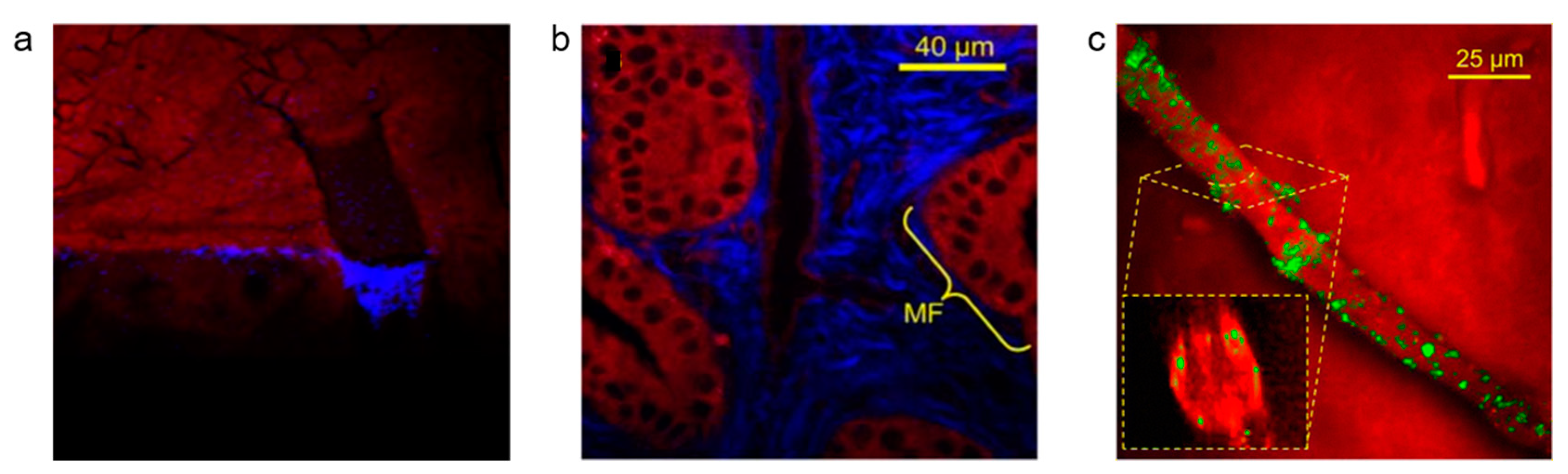 Nanomaterials 09 00341 g008 Nanomaterials 09 00341 g008
