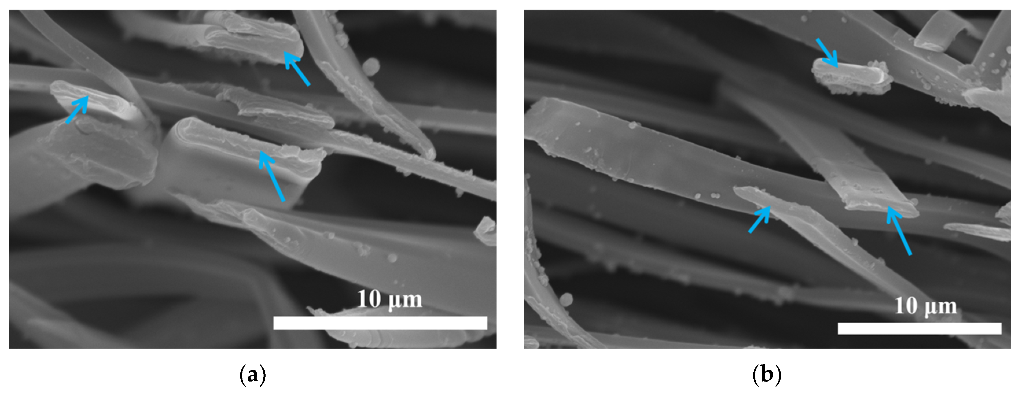 Nanomaterials 09 00525 g004 Nanomaterials 09 00525 g004