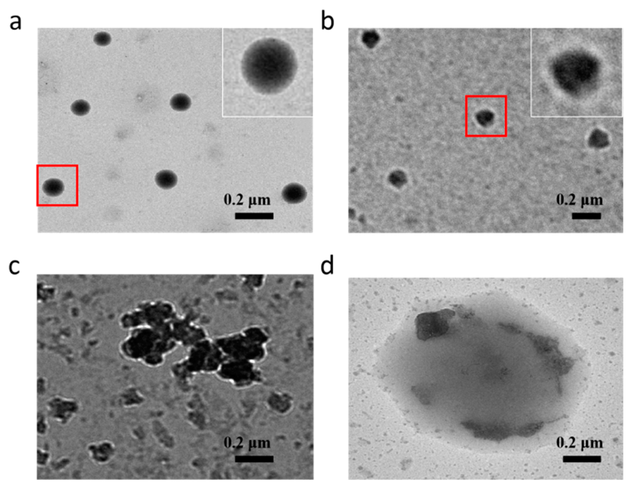 Nanomaterials 09 00547 g005