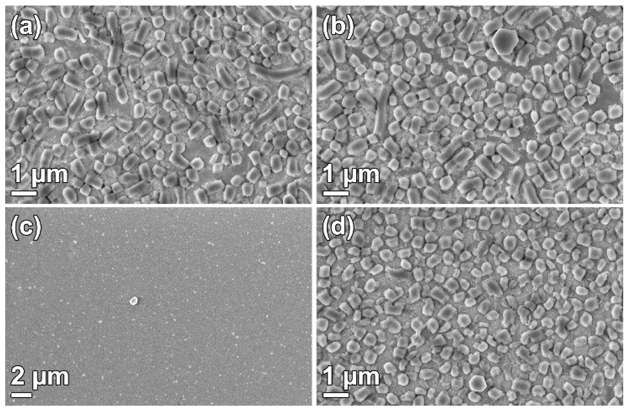 Nanomaterials 09 00562 g004